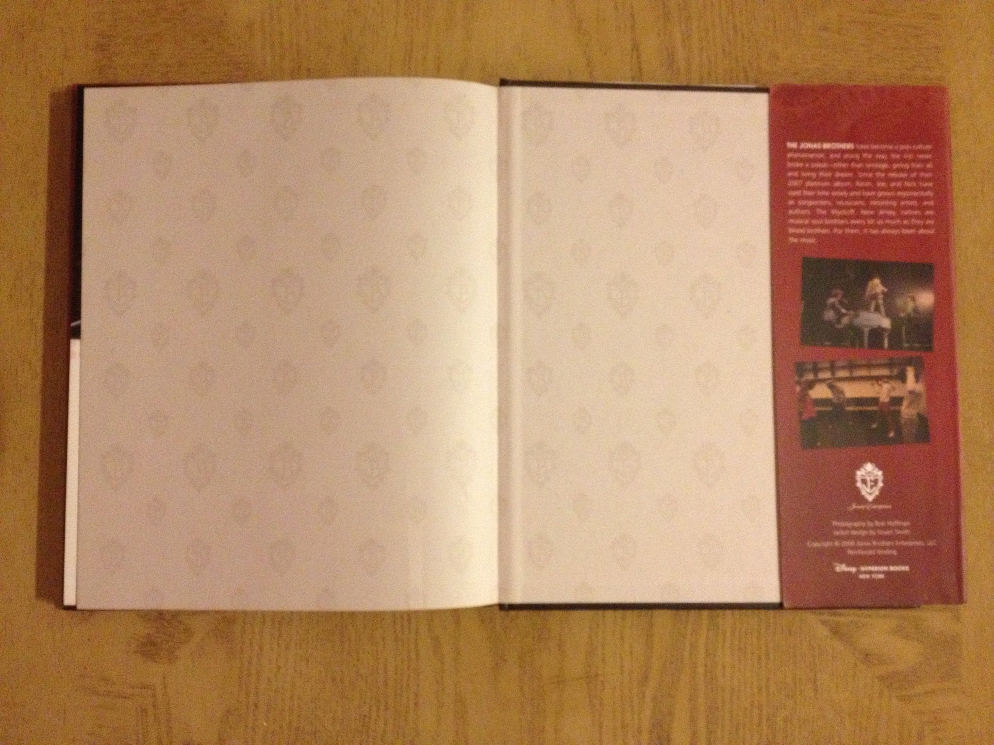 Burning Up: On Tour with the Jonas Brothers,New