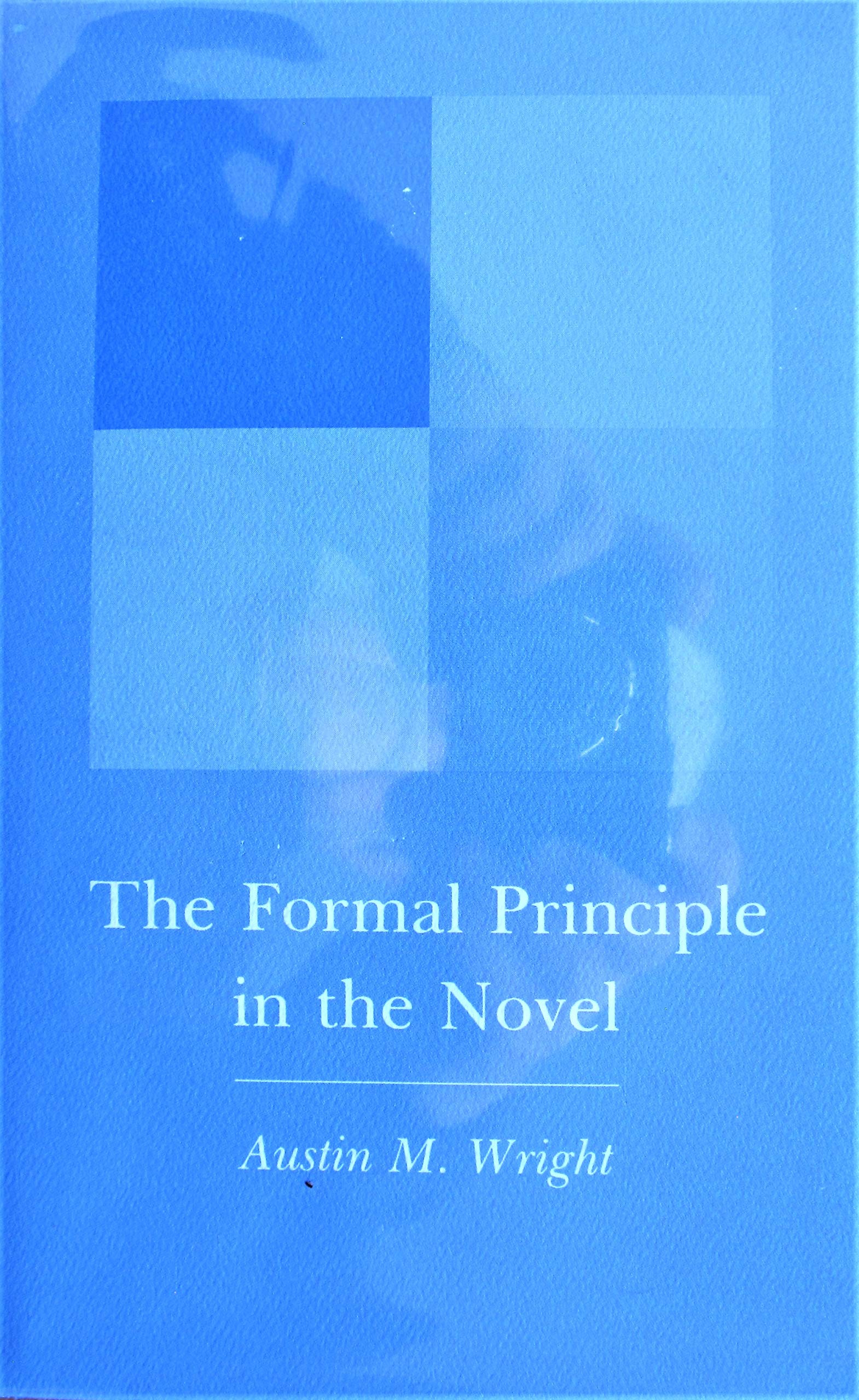 Formal Principle in the Novel,Used