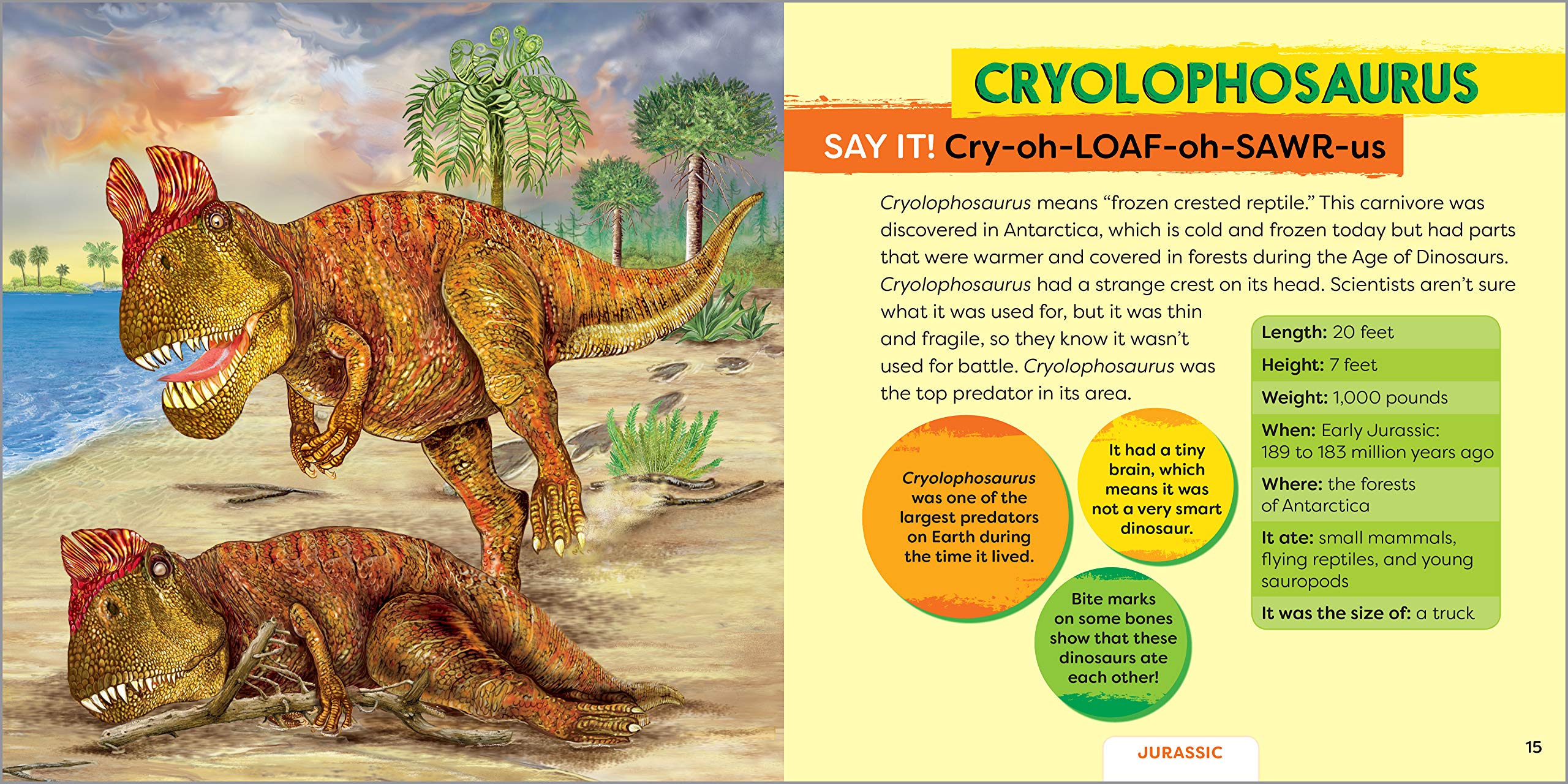Dinosaurs! My First Book About Carnivores (Dinosaurs! + Beyond Dinosaurs!),Used