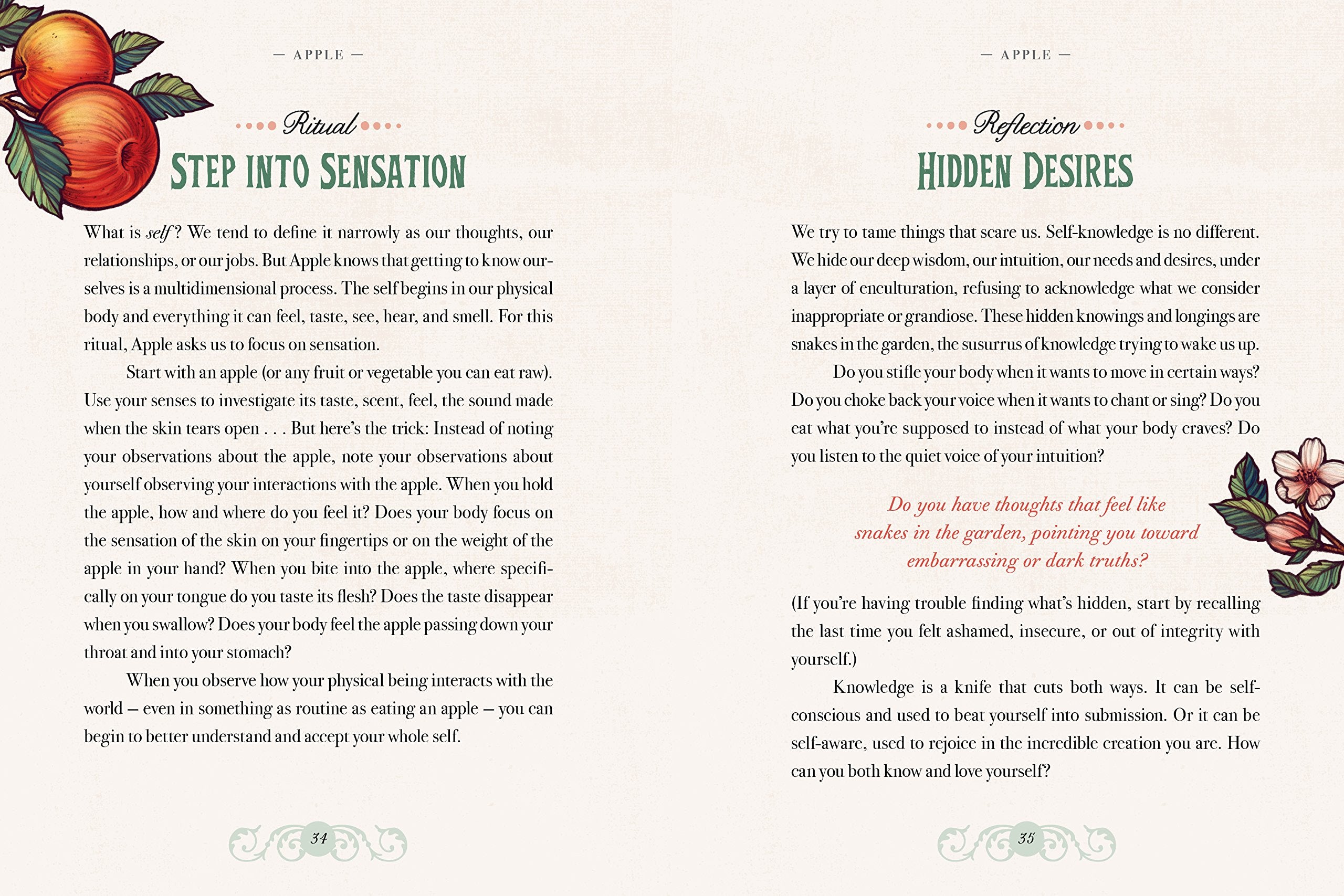 The Illustrated Herbiary: Guidance and Rituals from 36 Bewitching Botanicals (Wild Wisdom),Used