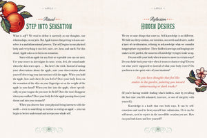 The Illustrated Herbiary: Guidance and Rituals from 36 Bewitching Botanicals (Wild Wisdom),Used