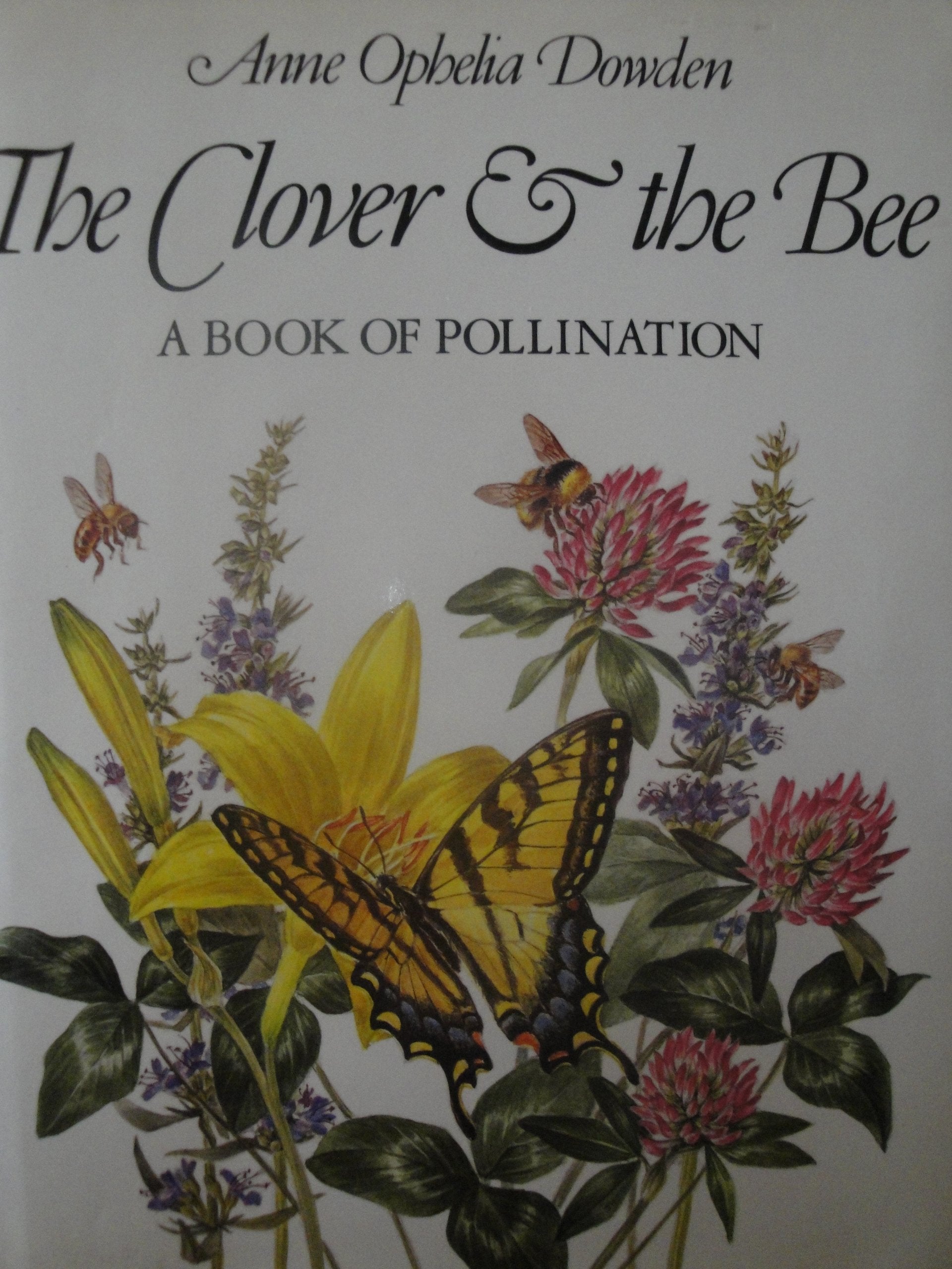 The Clover & The Bee; A Book Of Pollination,Used