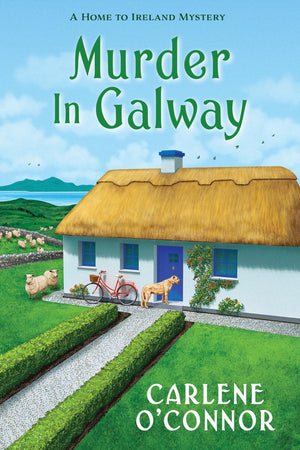 Murder In Galway (A Home To Ireland Mystery)