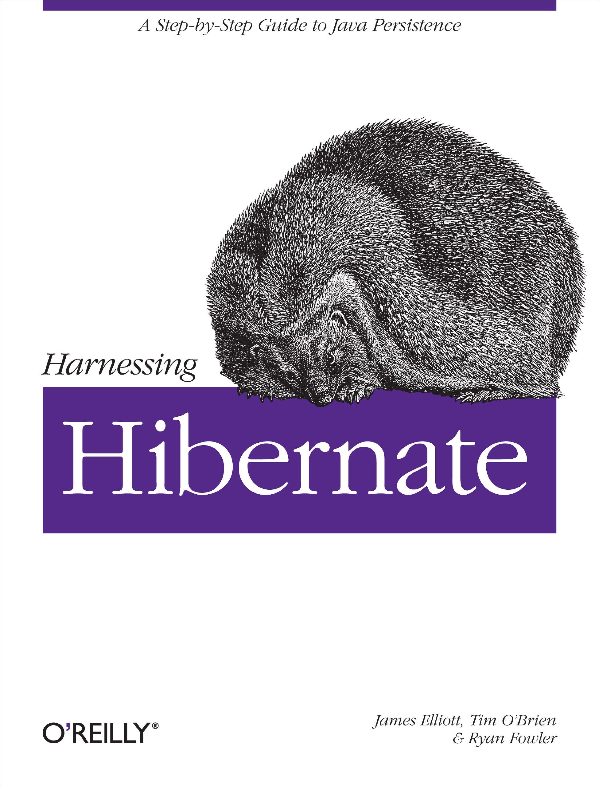 Harnessing Hibernate: Stepbystep Guide to Java Persistence,Used