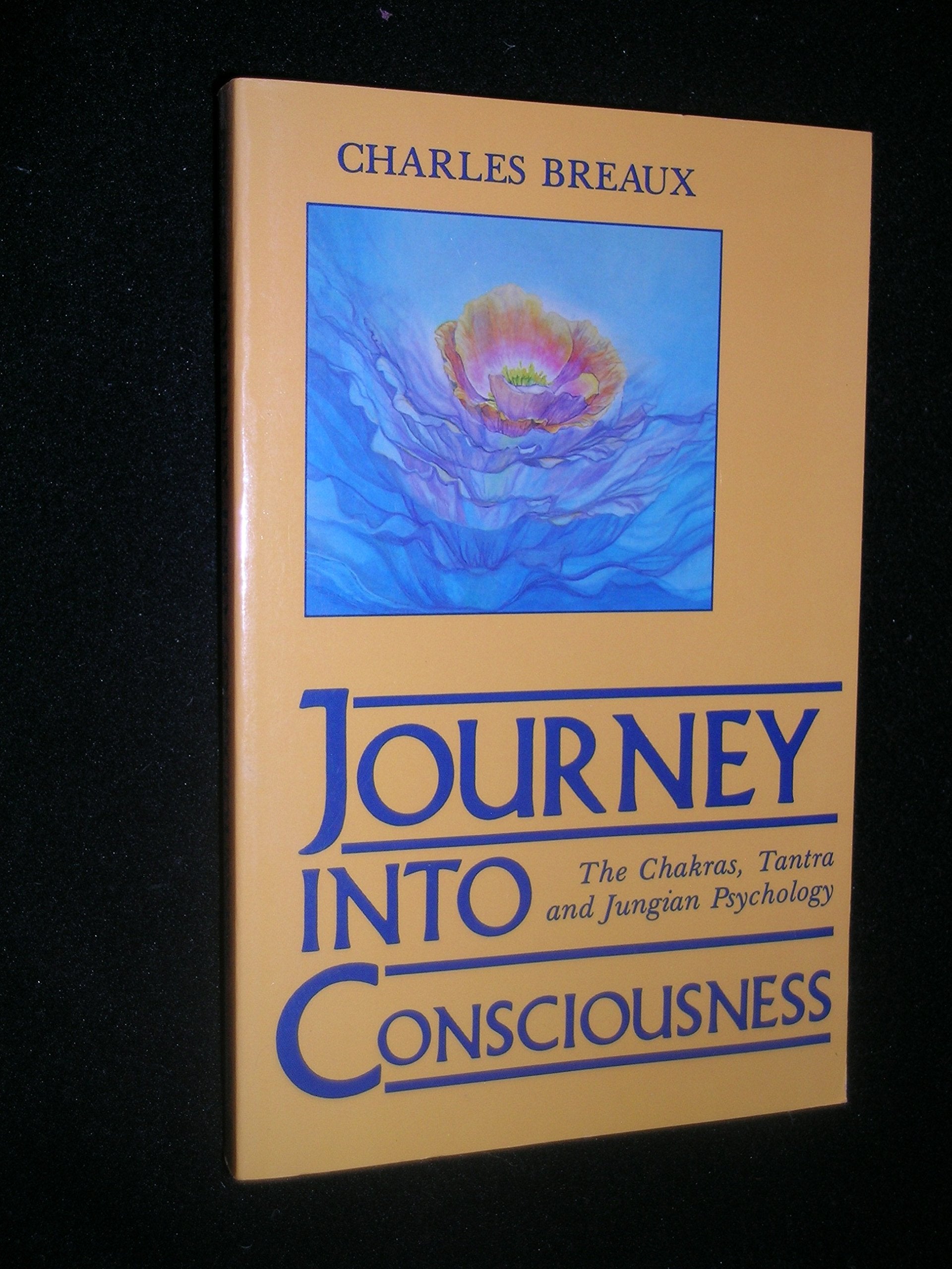 Journey into Consciousness: The Chakras, Tantra and Jungian Psychology,Used