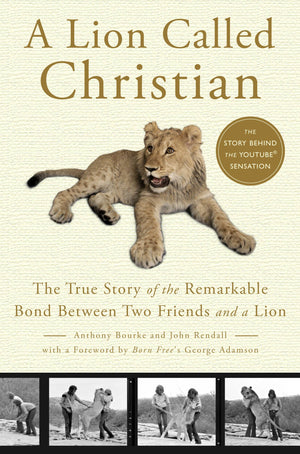 A Lion Called Christian: The True Story Of The Remarkable Bond Between Two Friends And A Lion,Used
