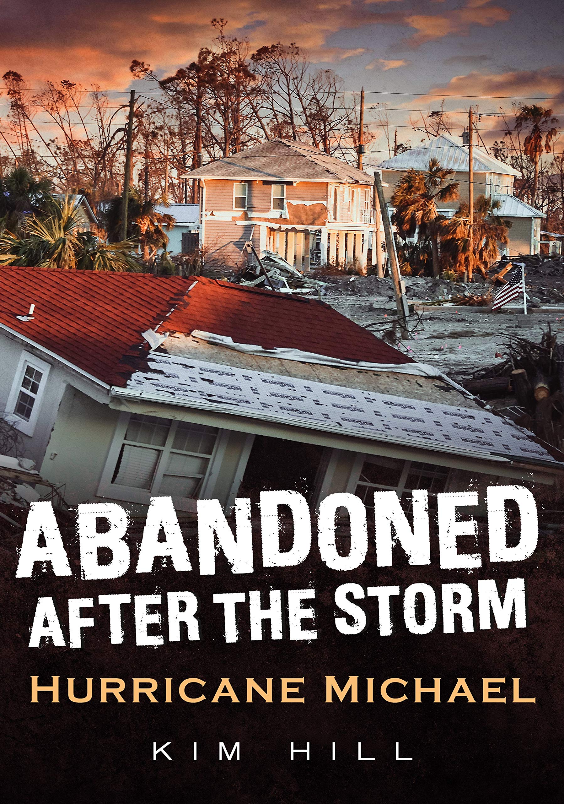 Abandoned After The Storm: Hurricane Michael (America Through Time),Used