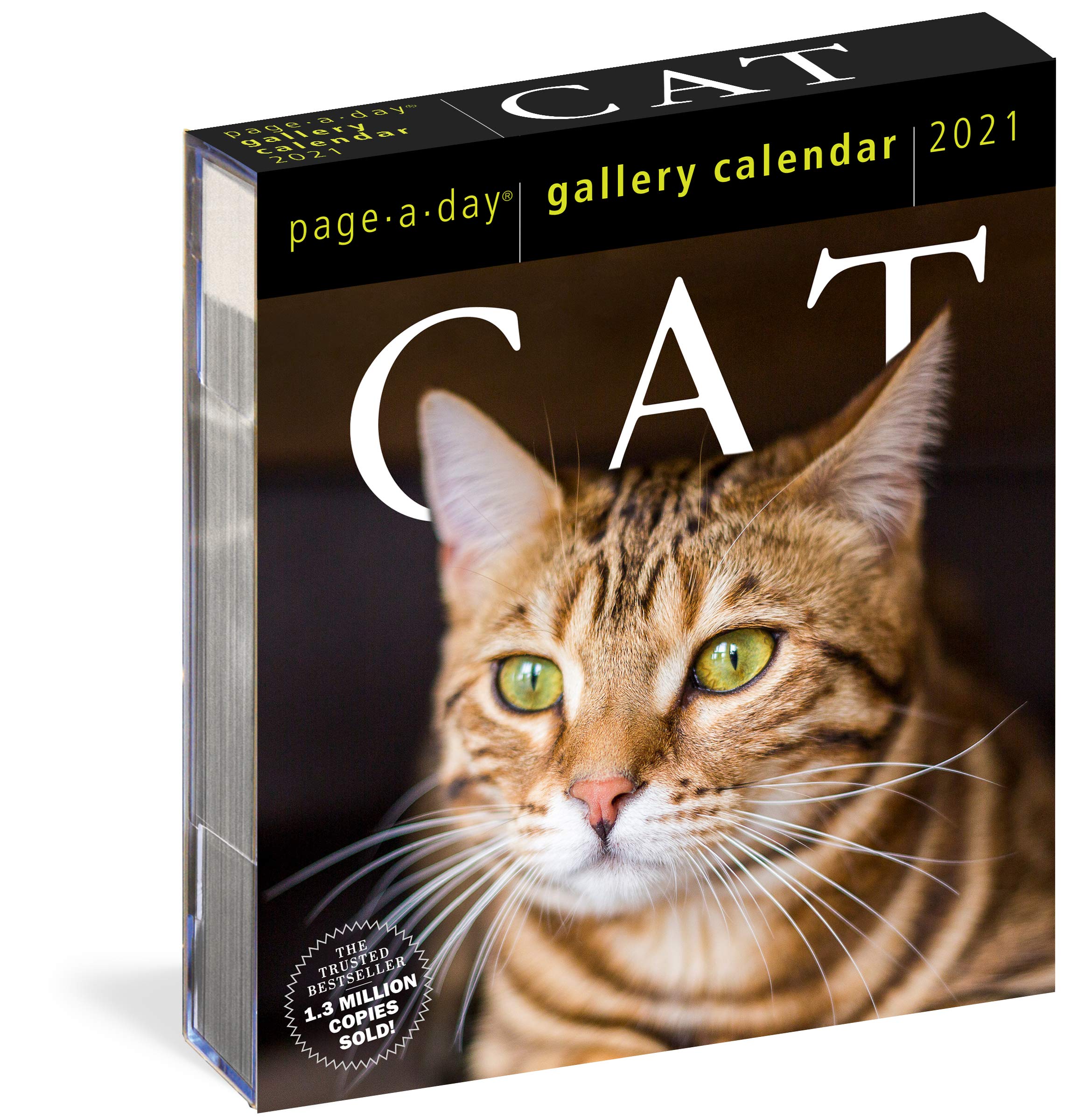 Cat PageADay Gallery Calendar 2021,New