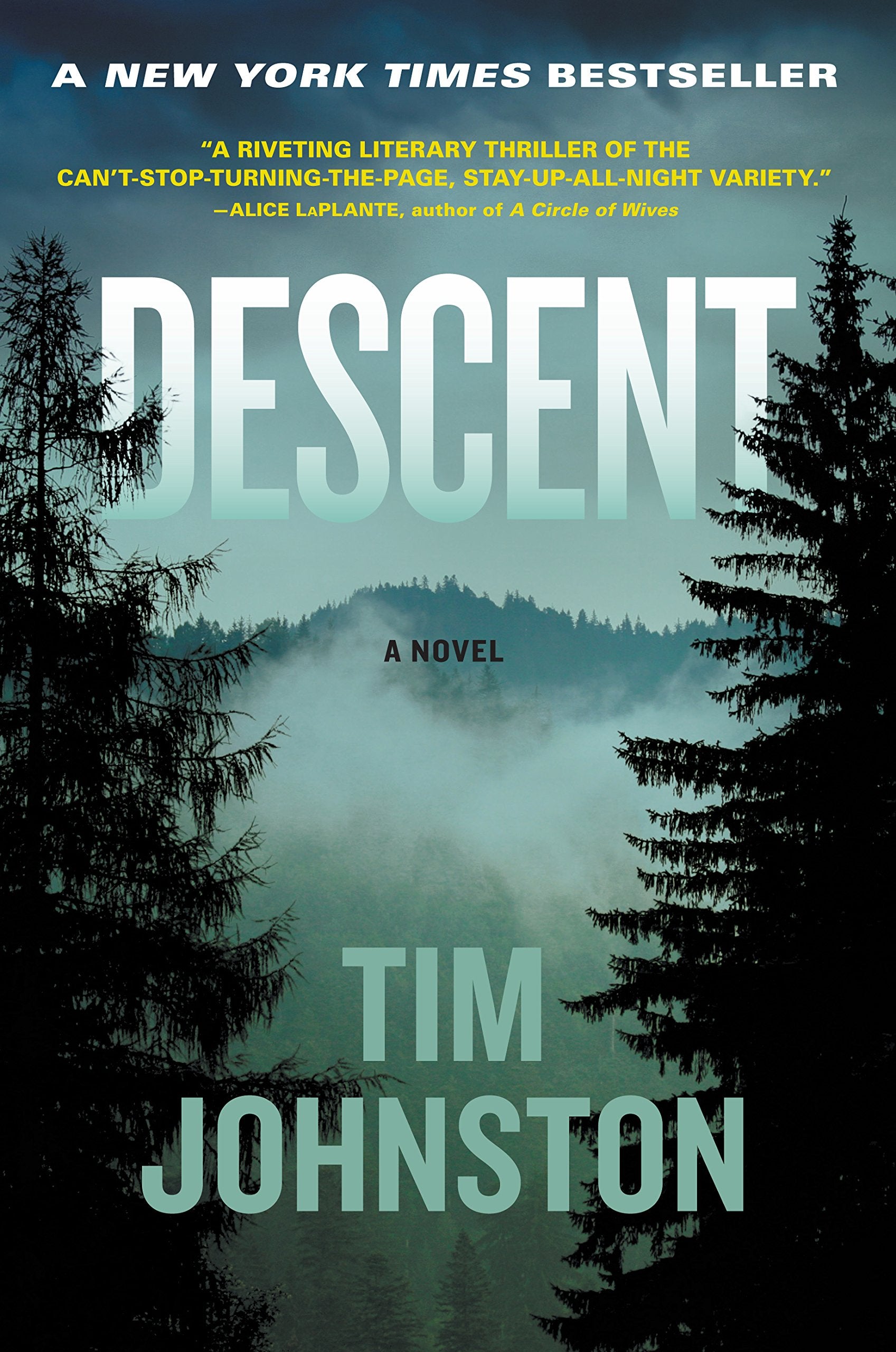 Descent: A Novel,Used