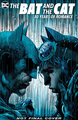 Batman: The Bat And The Cat 80 Years Of Romance