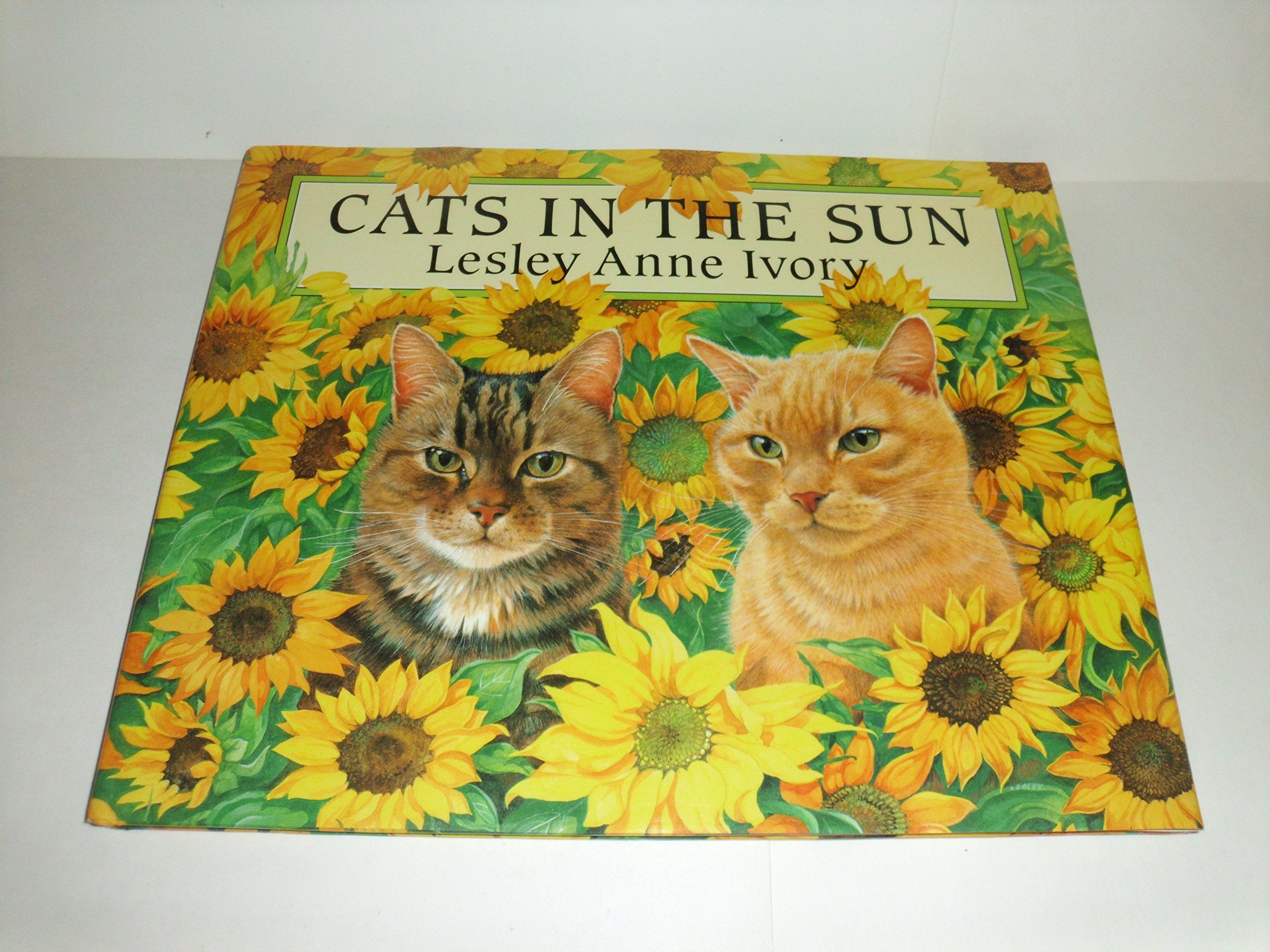 Cats in the Sun,Used