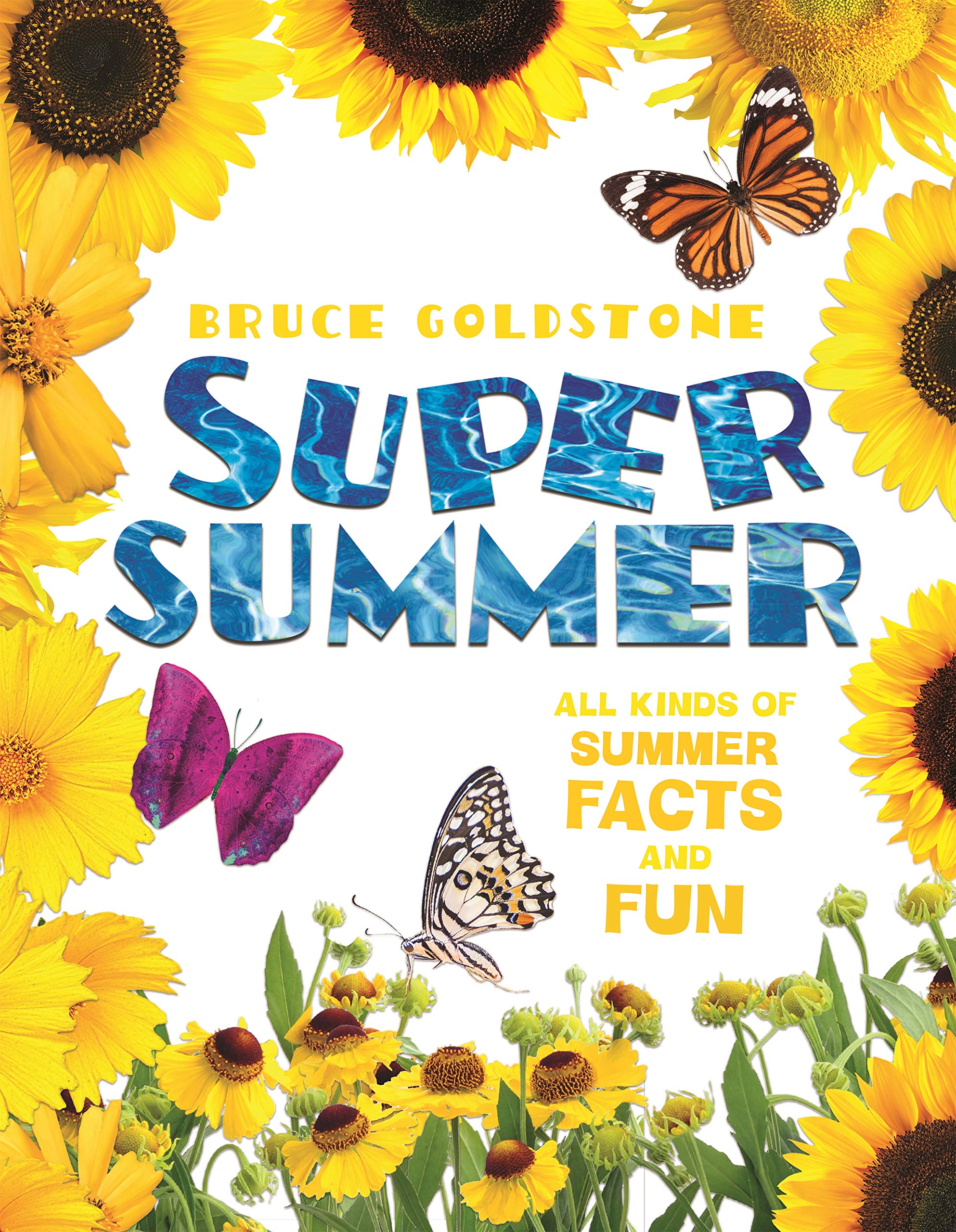 Super Summer: All Kinds of Summer Facts and Fun (Season Facts and Fun),Used