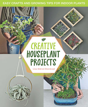 Creative Houseplant Projects: Easy Crafts And Growing Tips For Indoor Plants