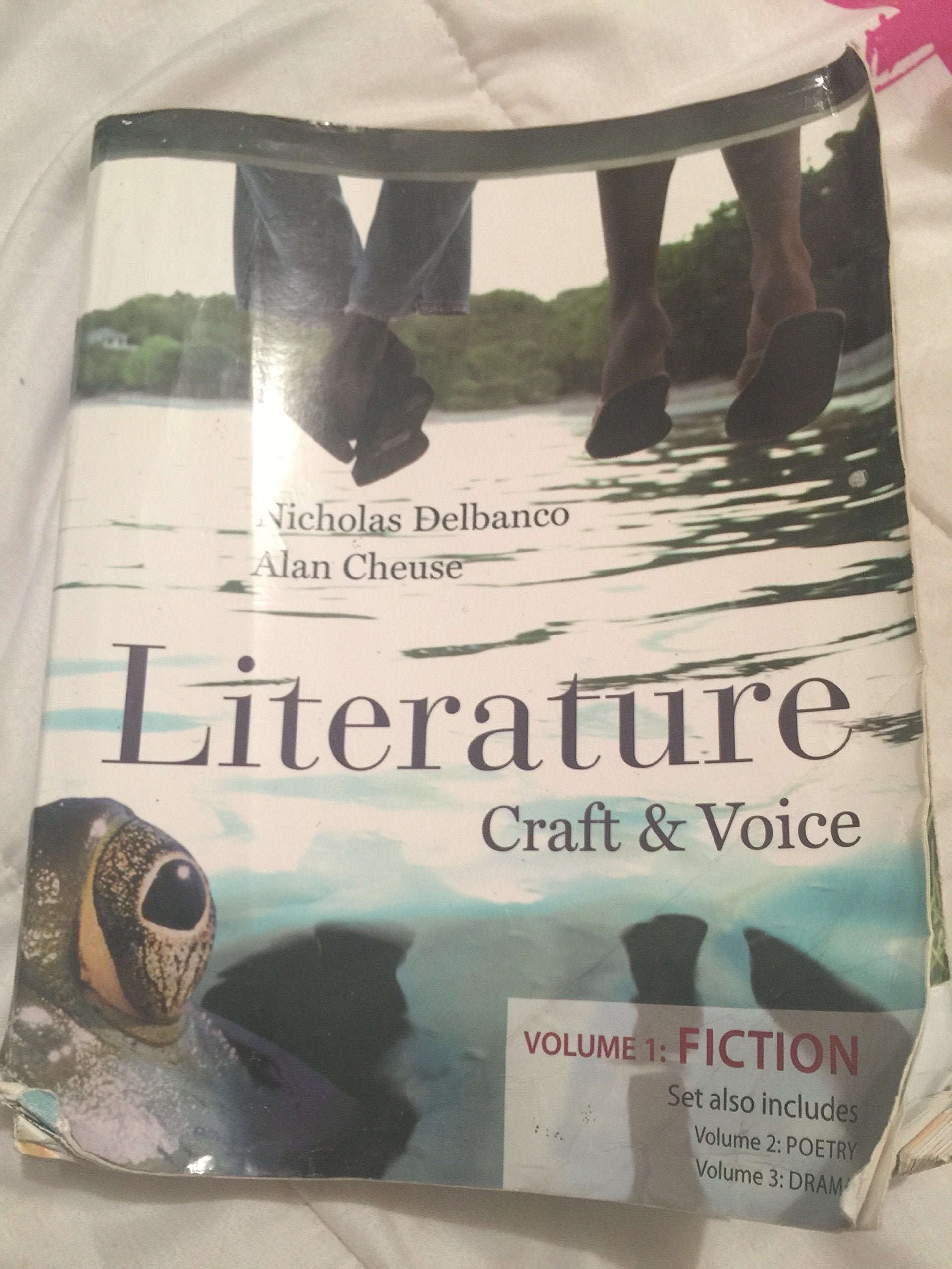 Literature: Craft And Voice (Volume 1, Fiction),Used