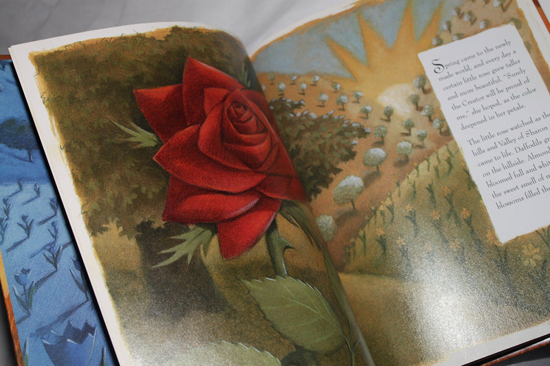 Little Rose of Sharon,Used