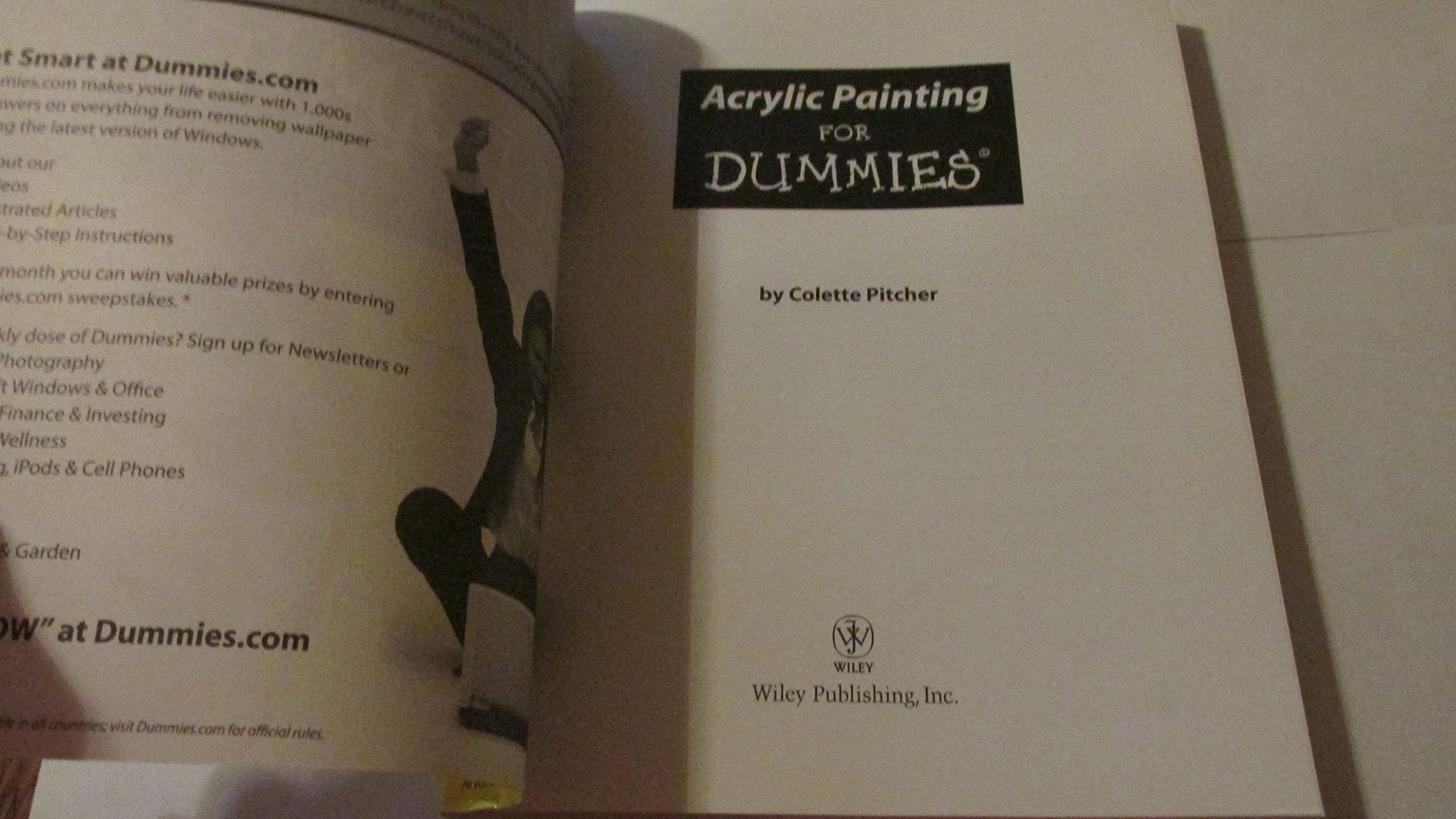 Acrylic Painting for Dummies,Used