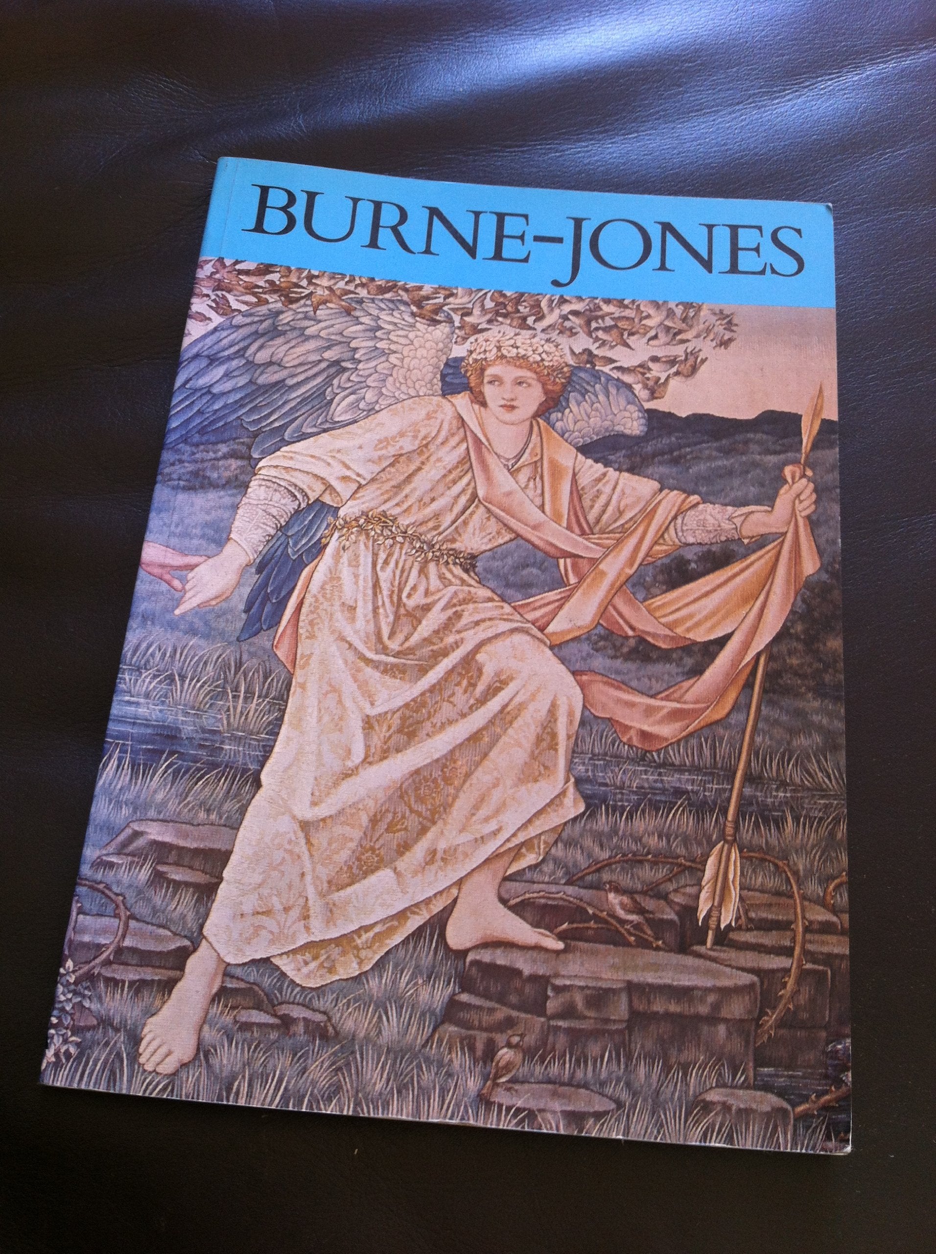 BurneJones, all colour paperback,Used