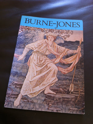 BurneJones, all colour paperback,Used