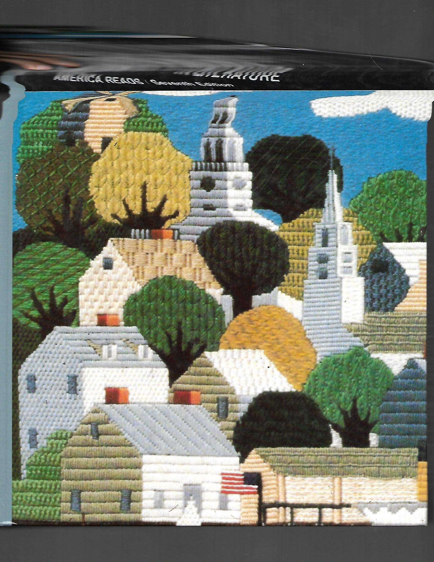 Patterns in Literature, Grade 9 (America Reads),Used