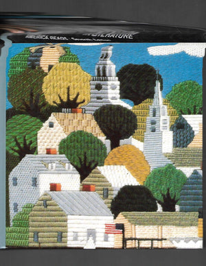 Patterns in Literature, Grade 9 (America Reads),Used