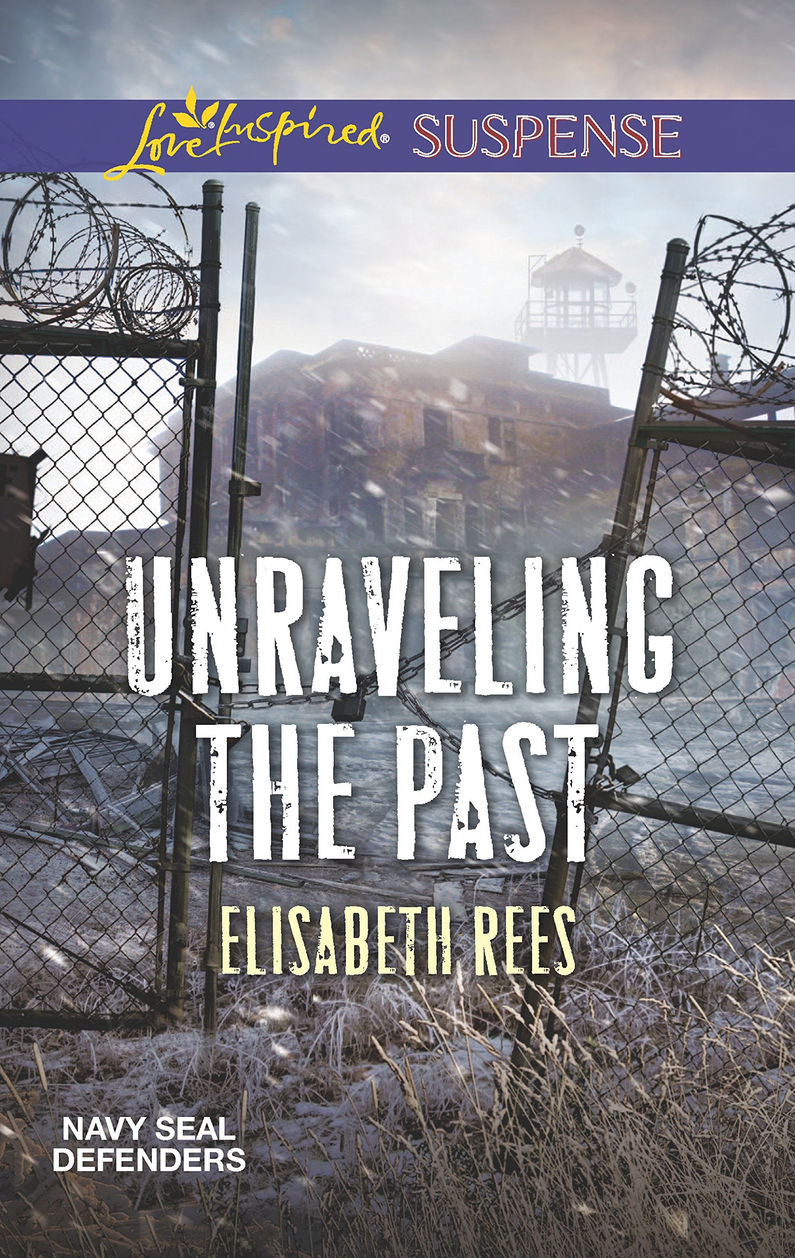 Unraveling the Past (Navy SEAL Defenders, 4),Used