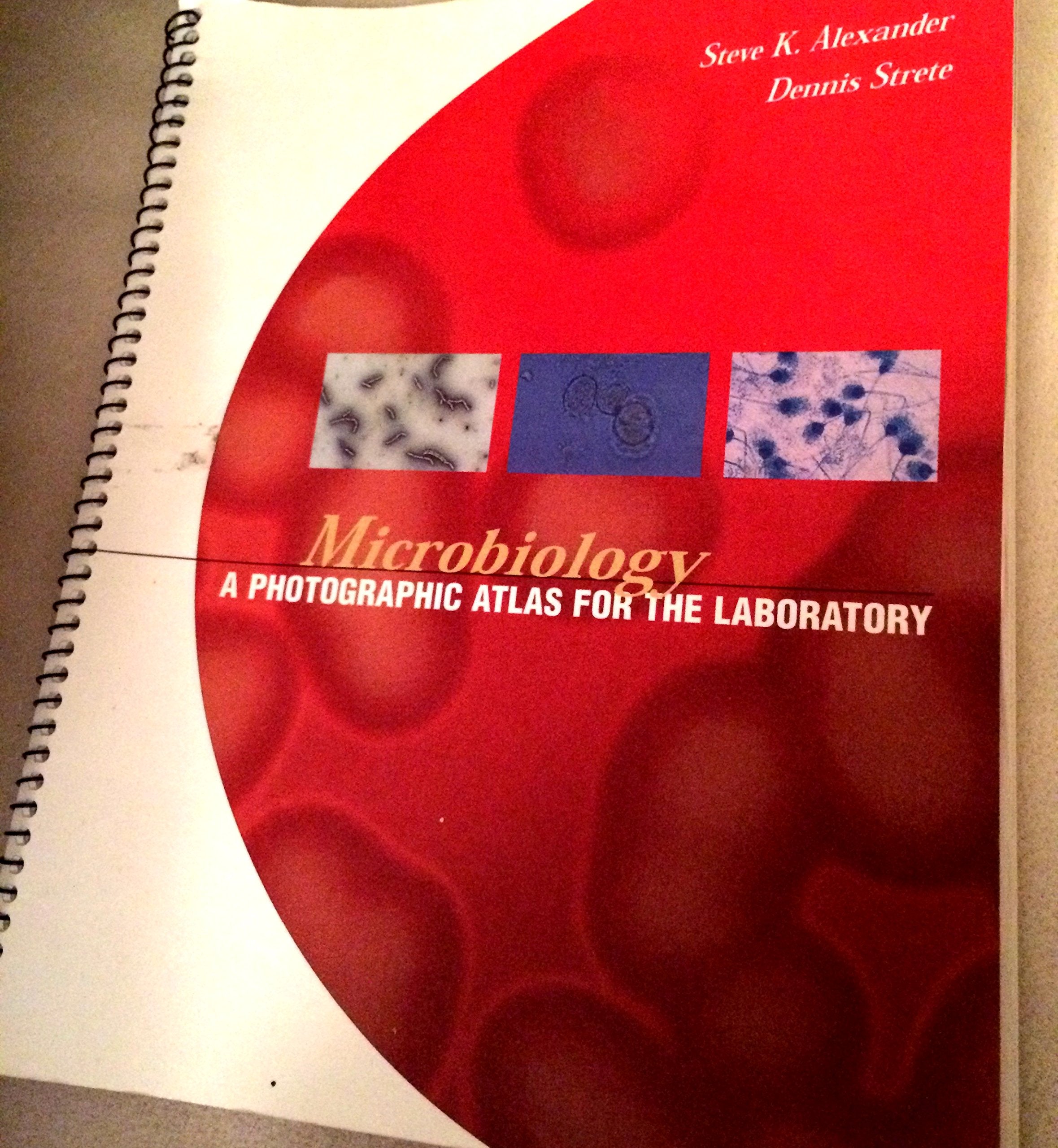 Microbiology: A Photographic Atlas for the Laboratory,Used