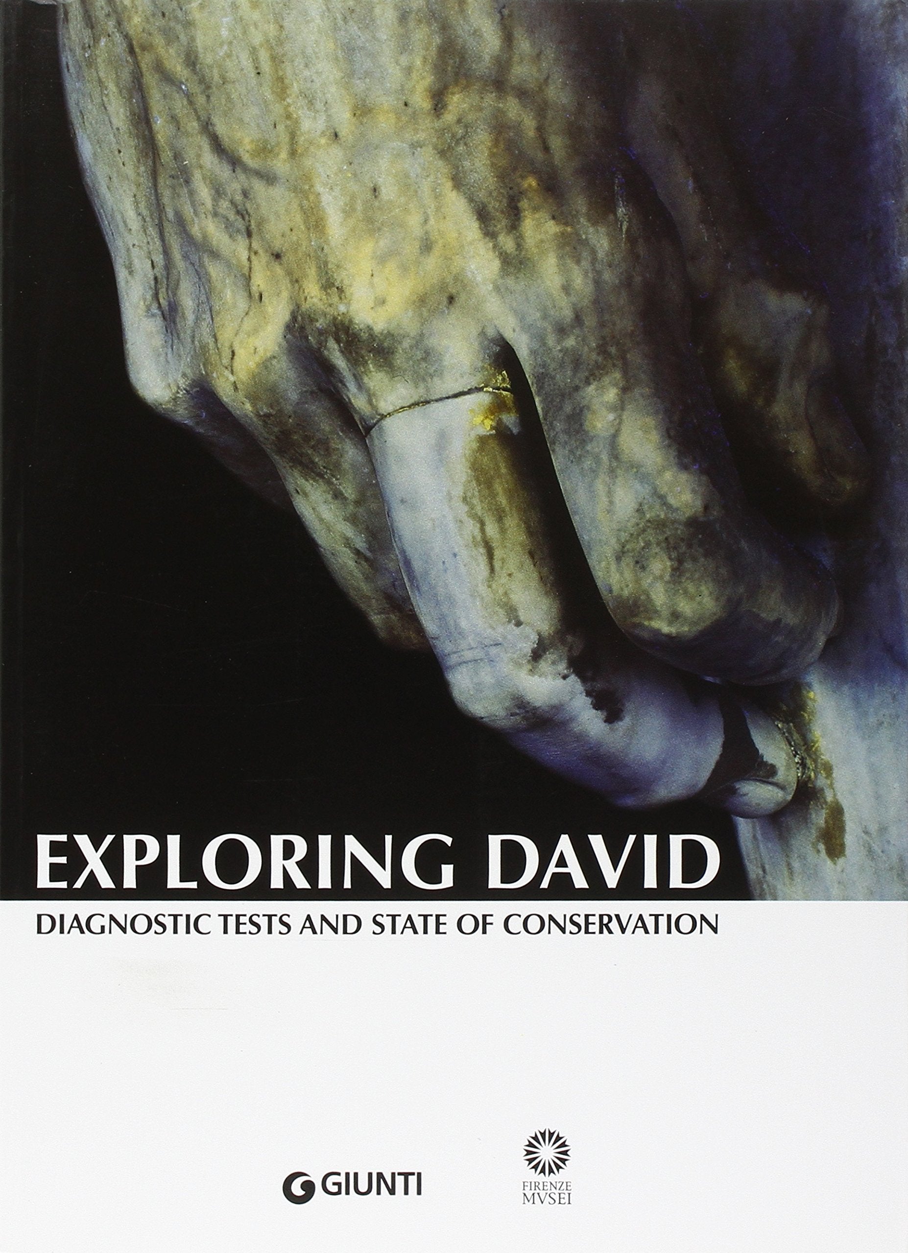 Exploring David. Diagnostic tests and state of conservation,Used