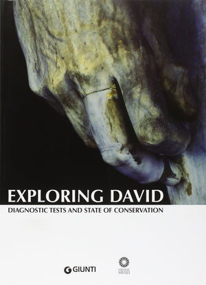 Exploring David. Diagnostic tests and state of conservation,Used