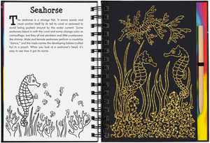 Scratch & Sketch Coral Reefs (Trace Along) (Scratch and Sketch Tracealong),Used