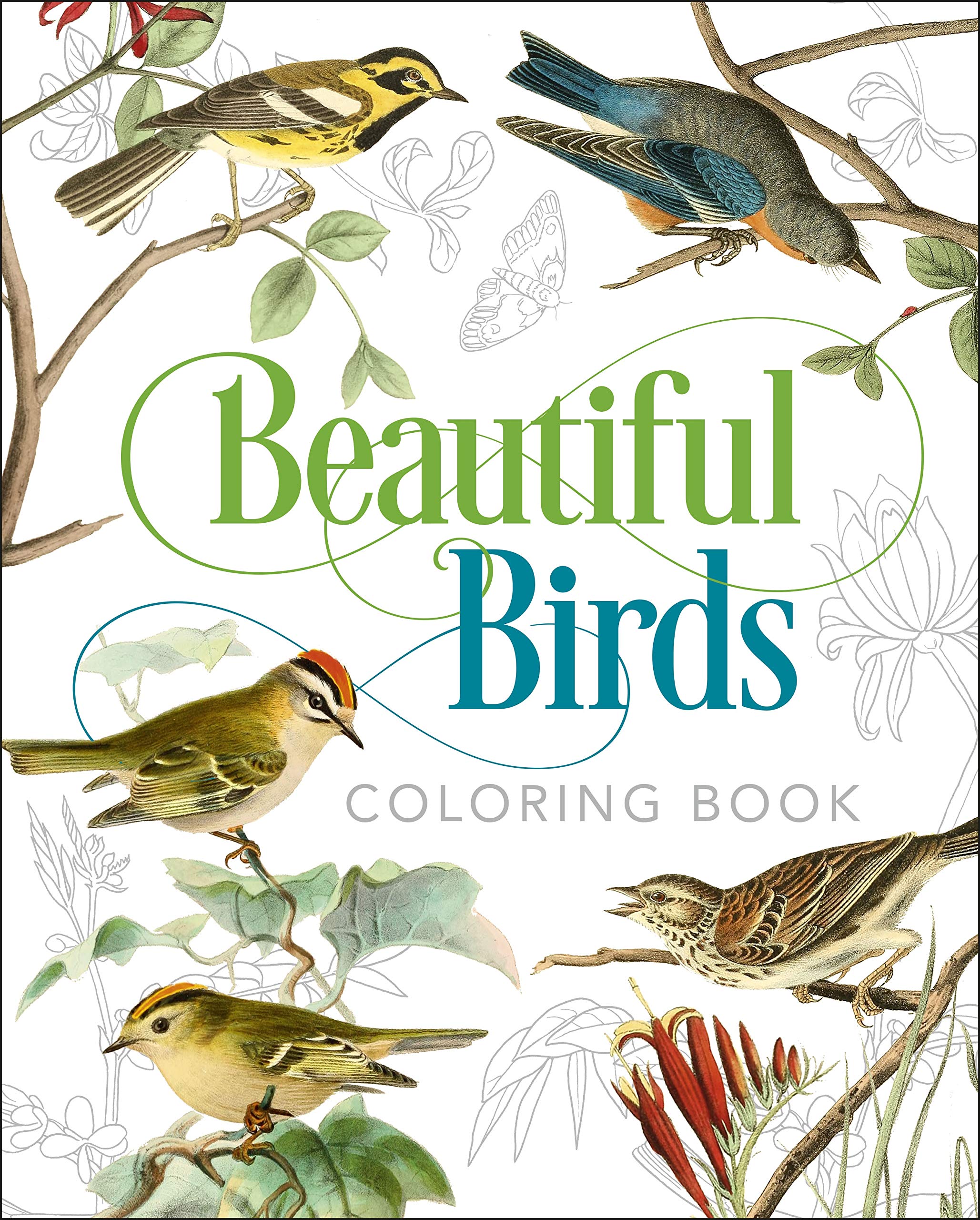 Beautiful Birds Coloring Book (Sirius Classic Nature Coloring),Used