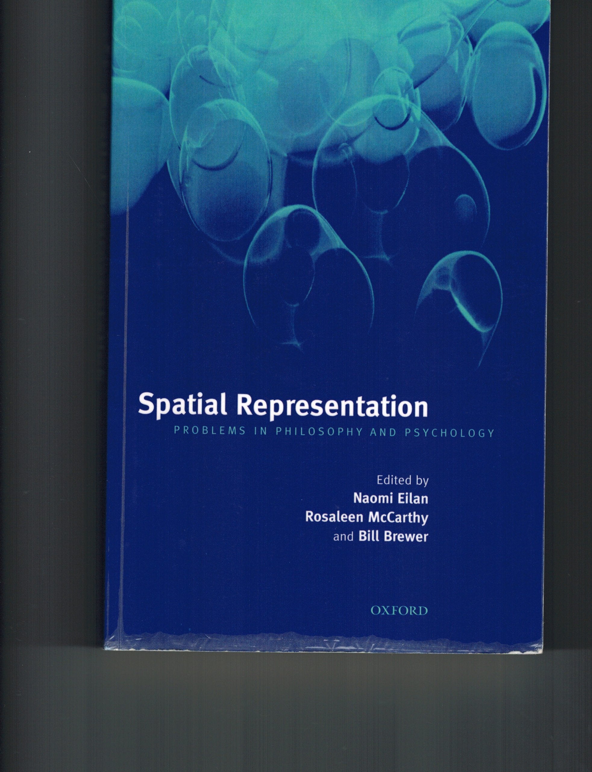 Spatial Representation: Problems in Philosophy and Psychology,Used