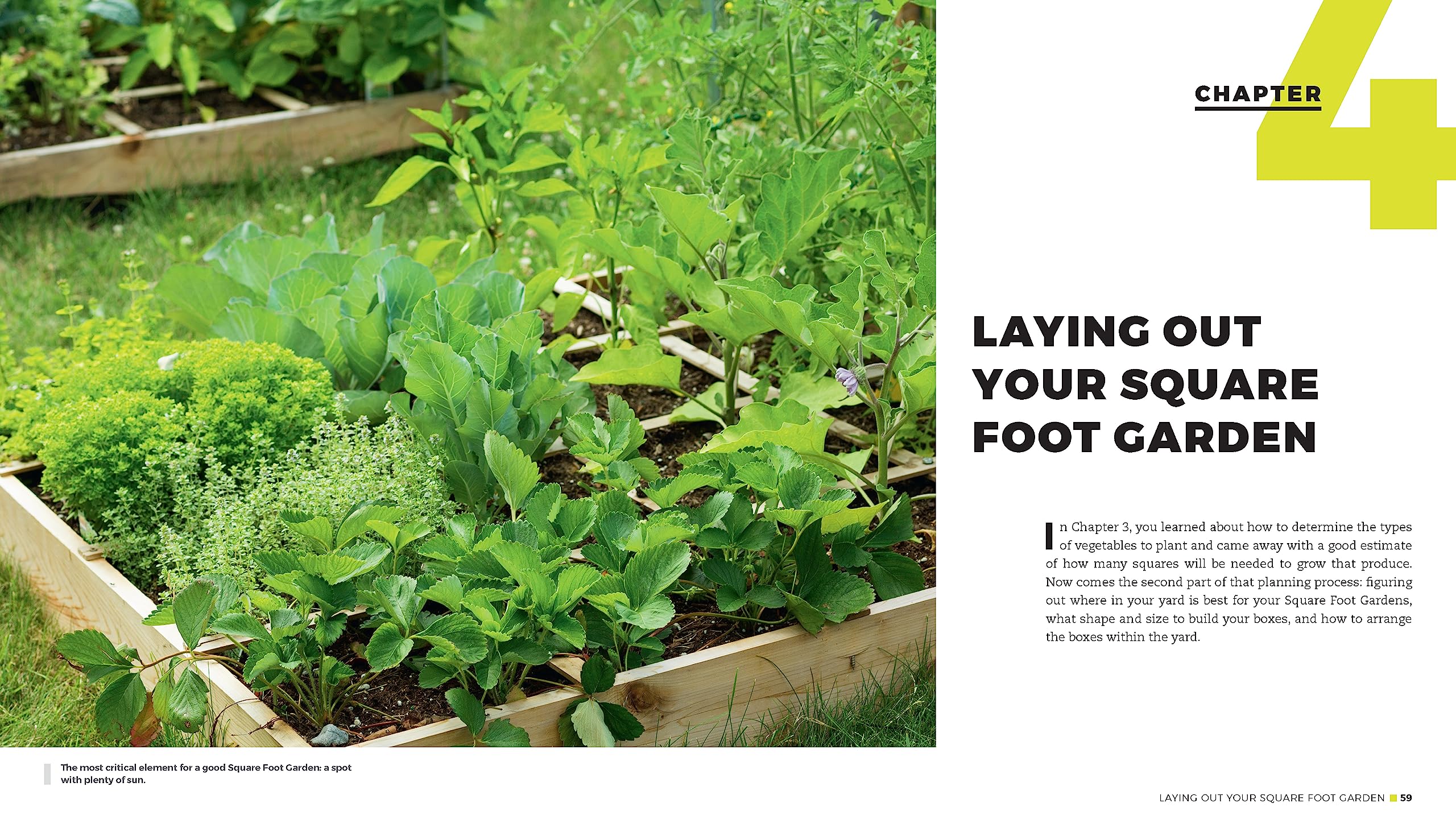 All New Square Foot Gardening, 3Rd Edition, Fully Updated: More Projects  New Solutions  Grow Vegetables Anywhere (Volume 9) (