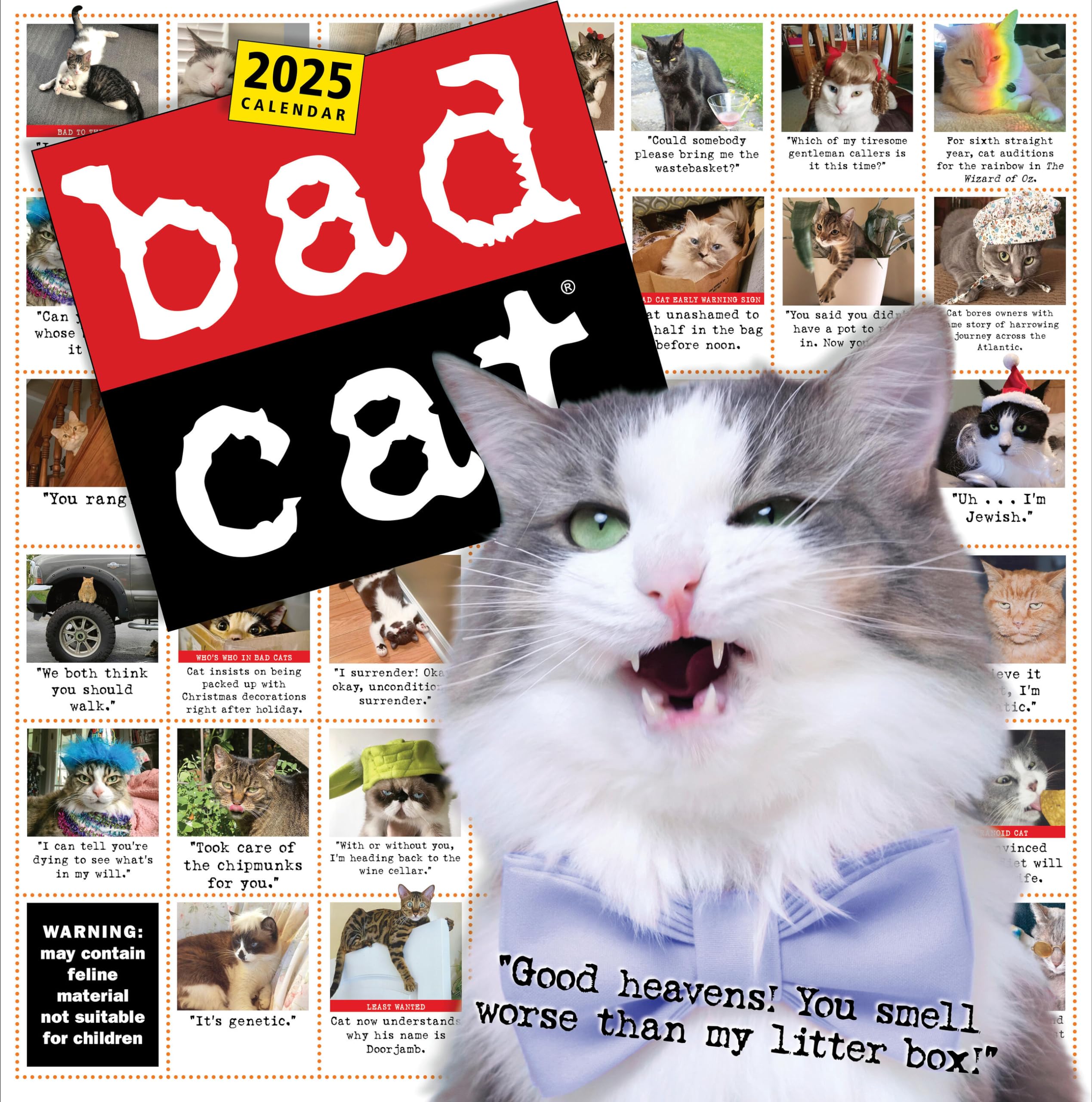 Bad Cat Wall Calendar 2025: Celebrating The Misfits Of The Feline World