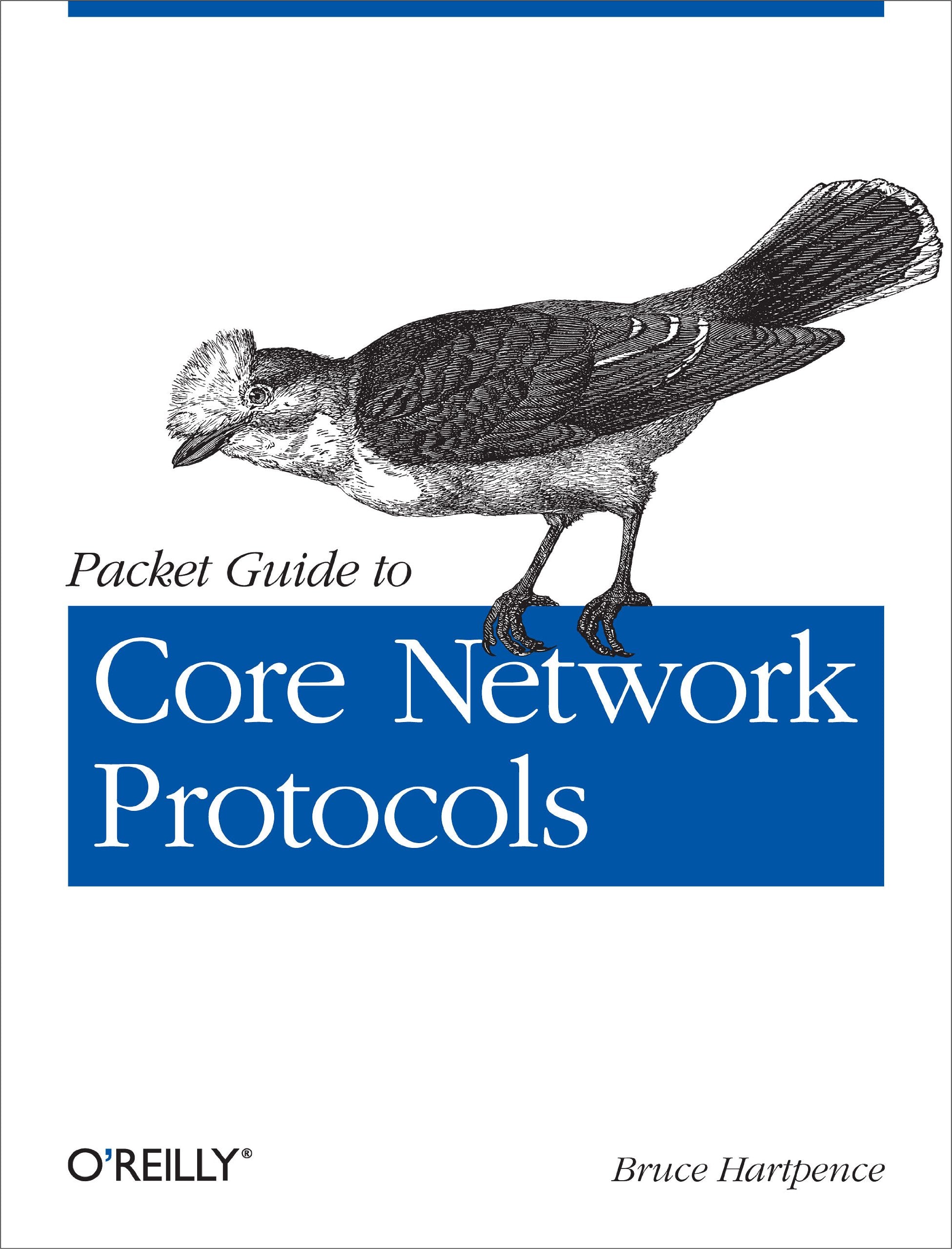 Packet Guide to Core Network Protocols,New