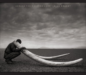 Across the Ravaged Land,Used