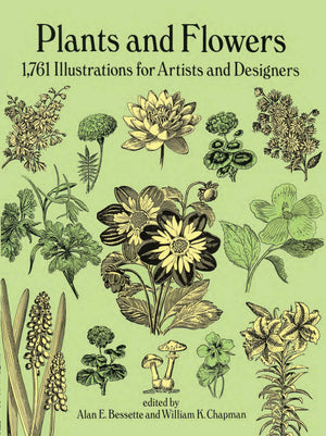 Plants And Flowers: 1761 Illustrations For Artists And Designers (Dover Pictorial Archive)