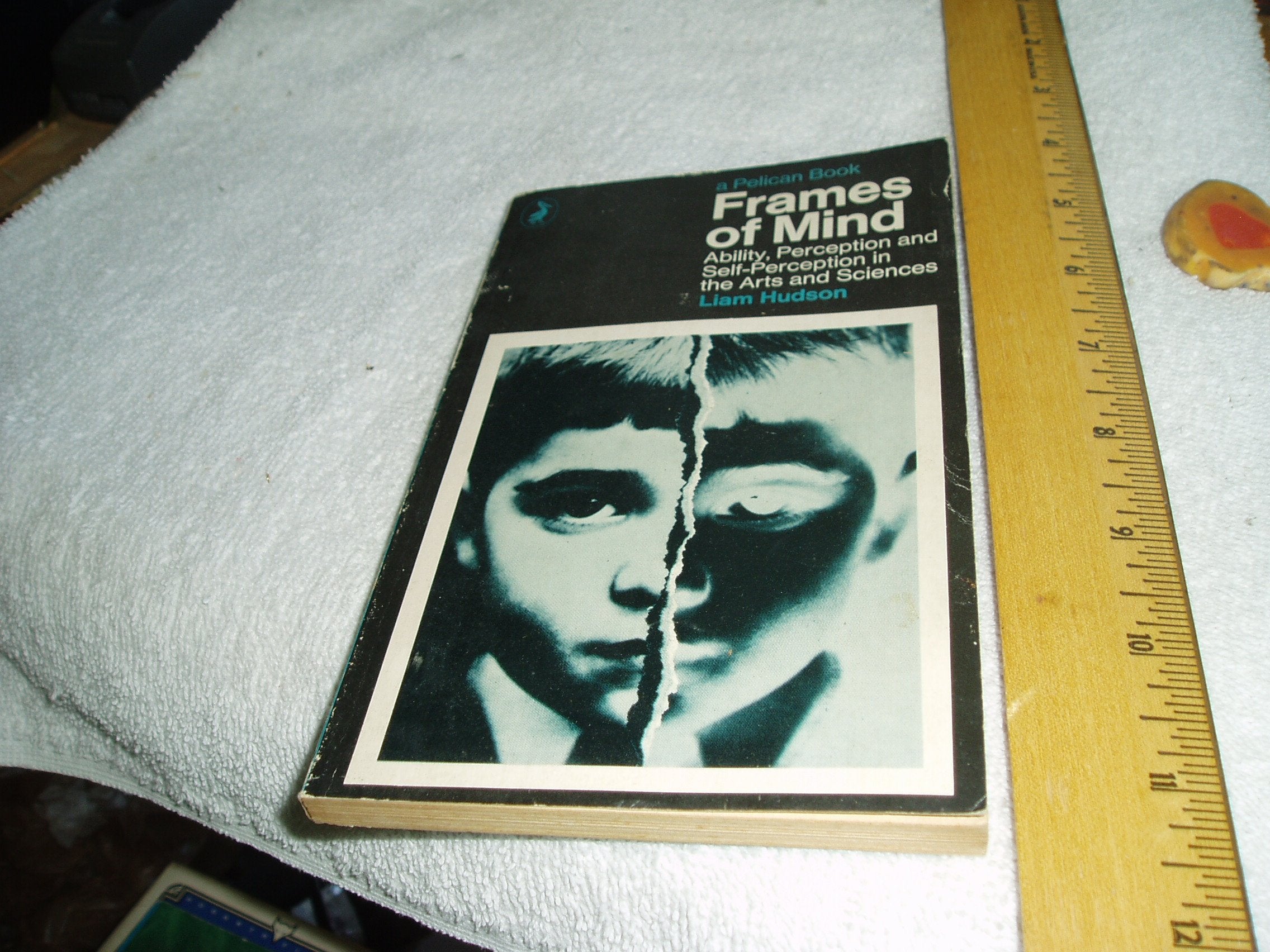 Frames of Mind (Pelican),Used