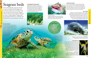 Ocean: A Visual Encyclopedia (DK Children's Visual Encyclopedias),Used