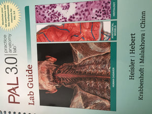 Practice Anatomy Lab 3.1 Lab Guide,Used