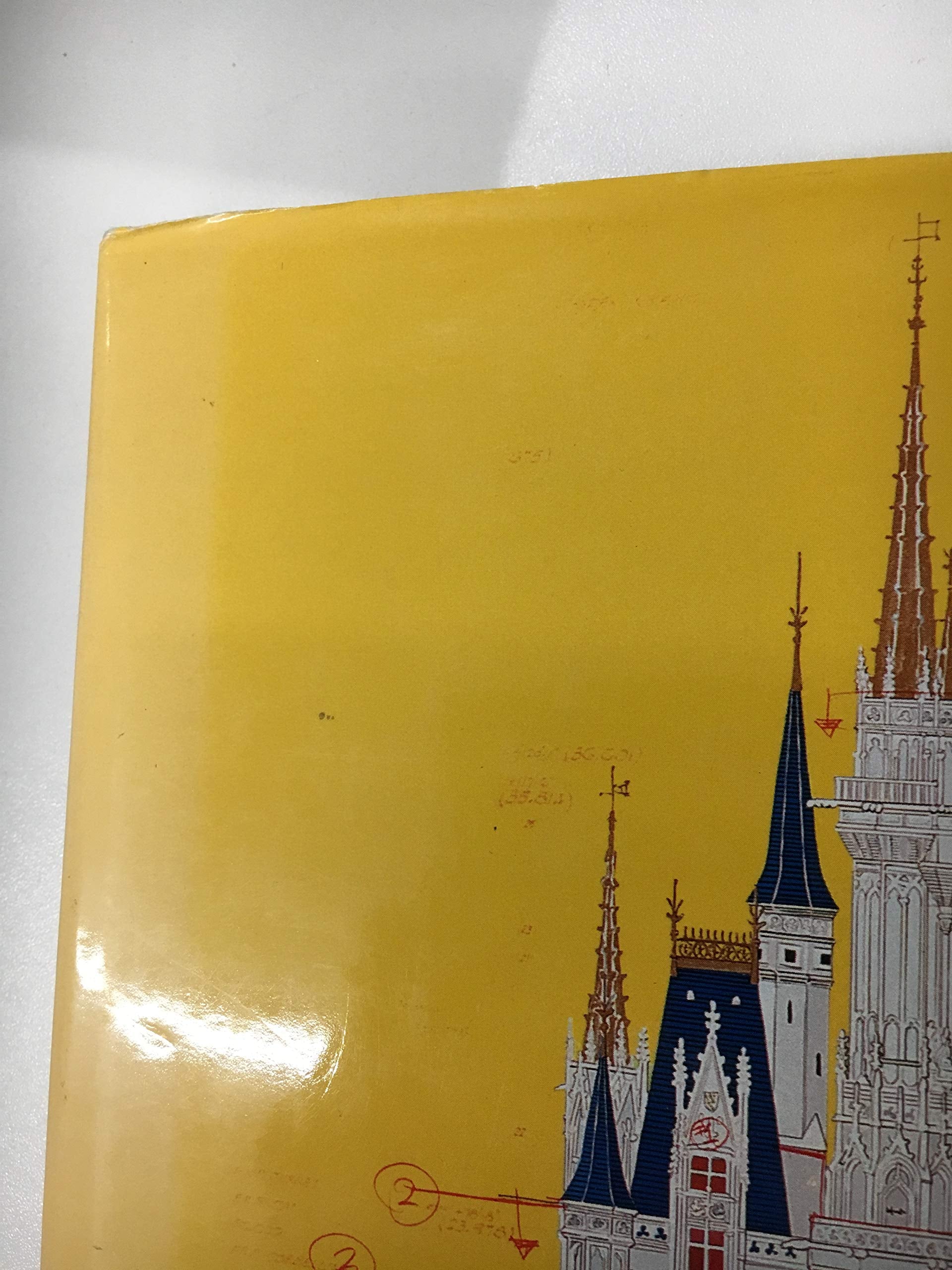 Designing Disney Theme Parks