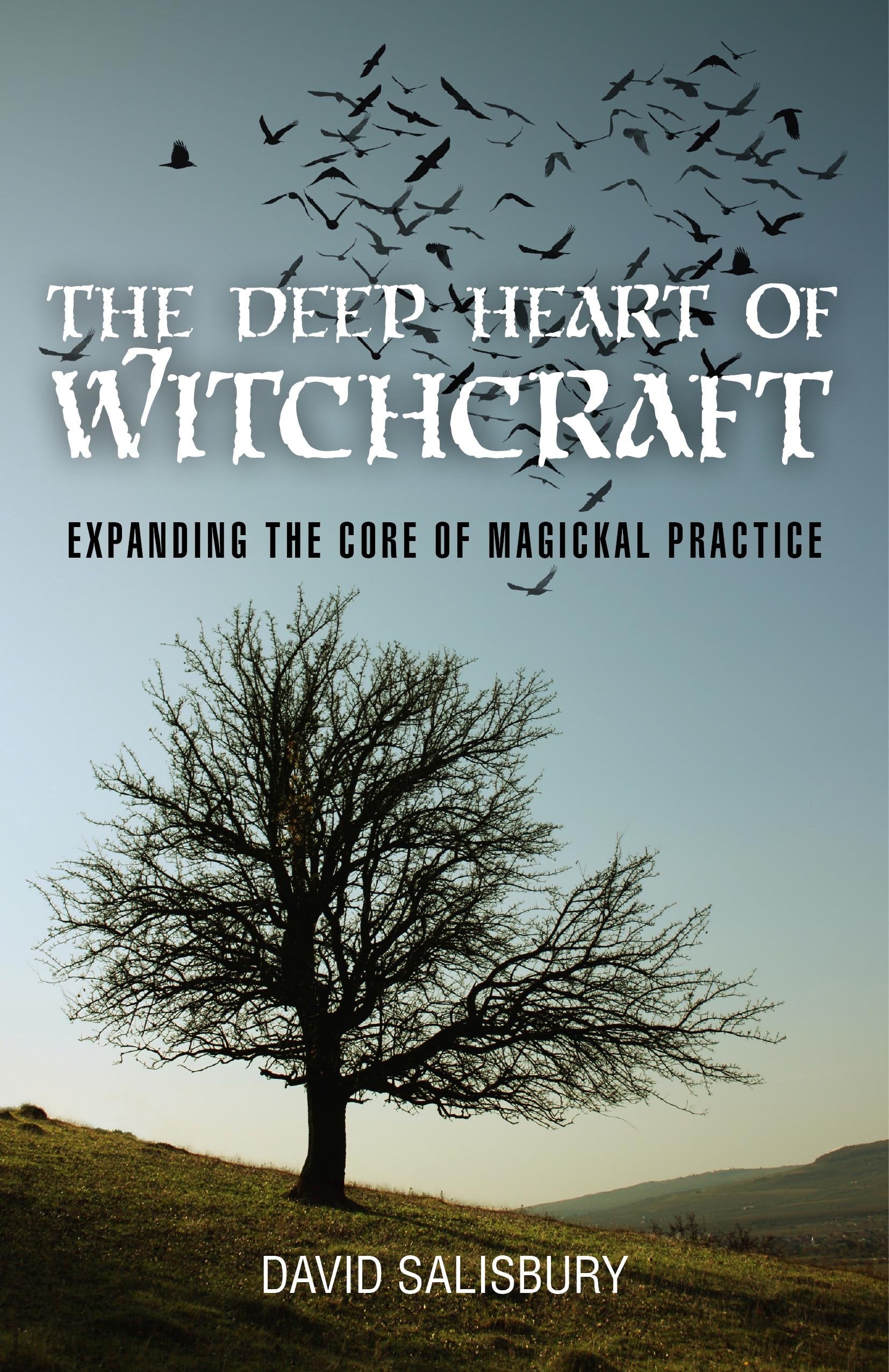 The Deep Heart of Witchcraft: Expanding the Core of Magickal Practice,Used