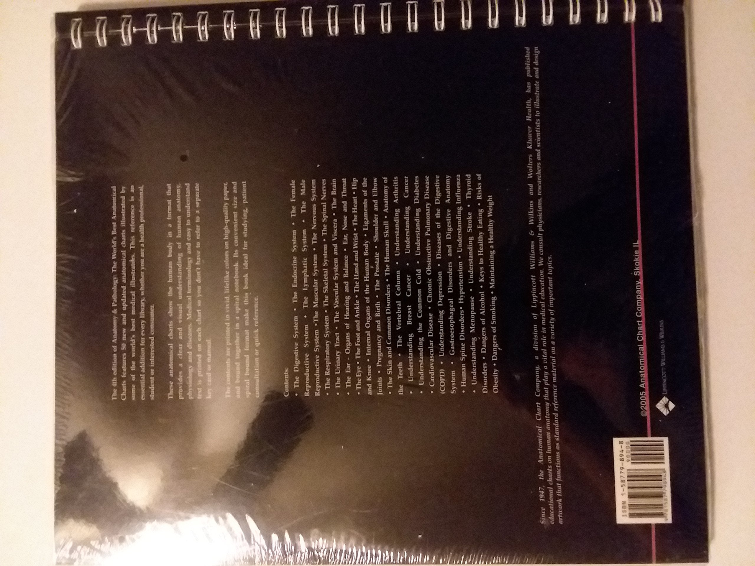 Anatomy And Pathology: The World s Best Anatomical Charts