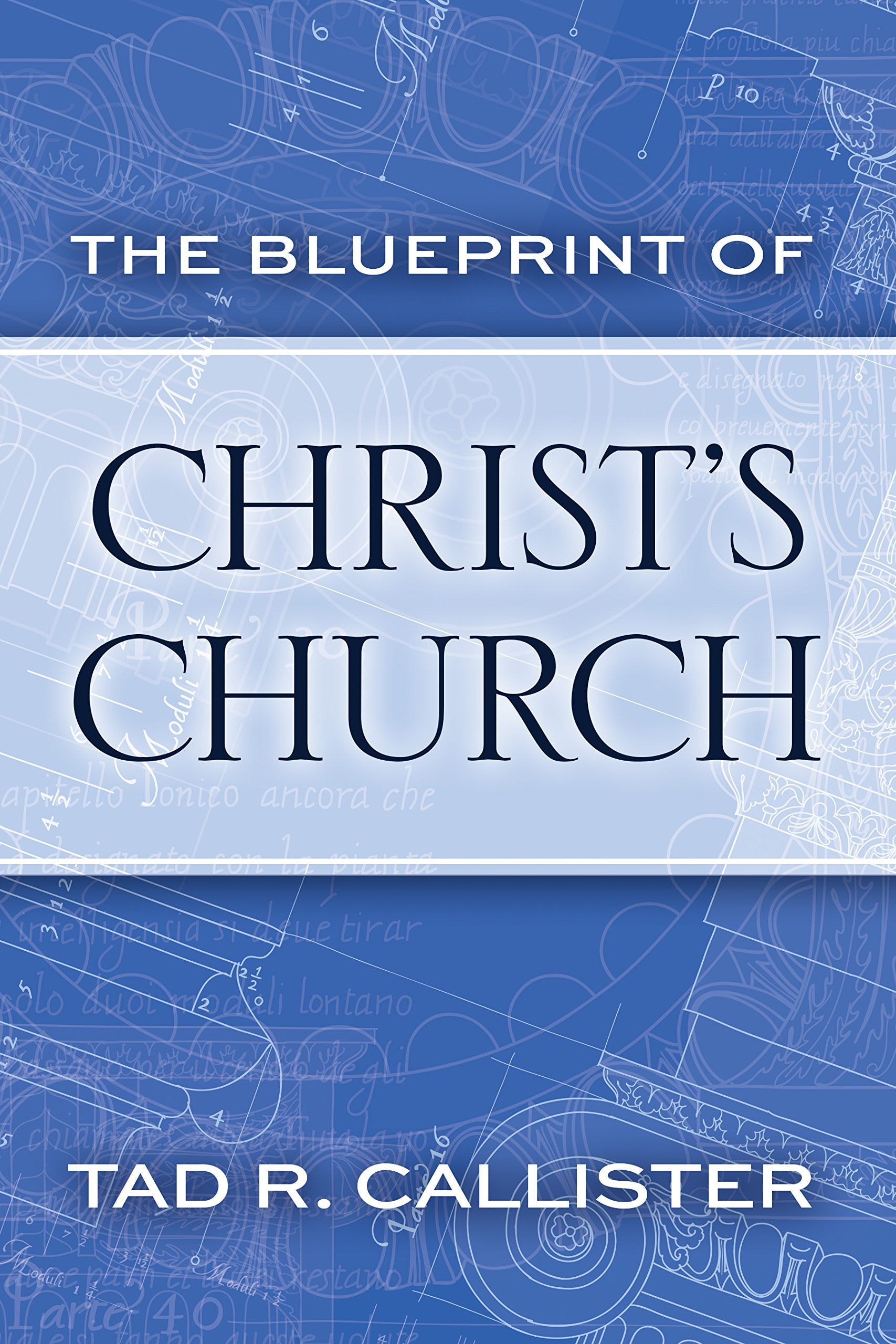 The Blueprint of Christ's Church,New