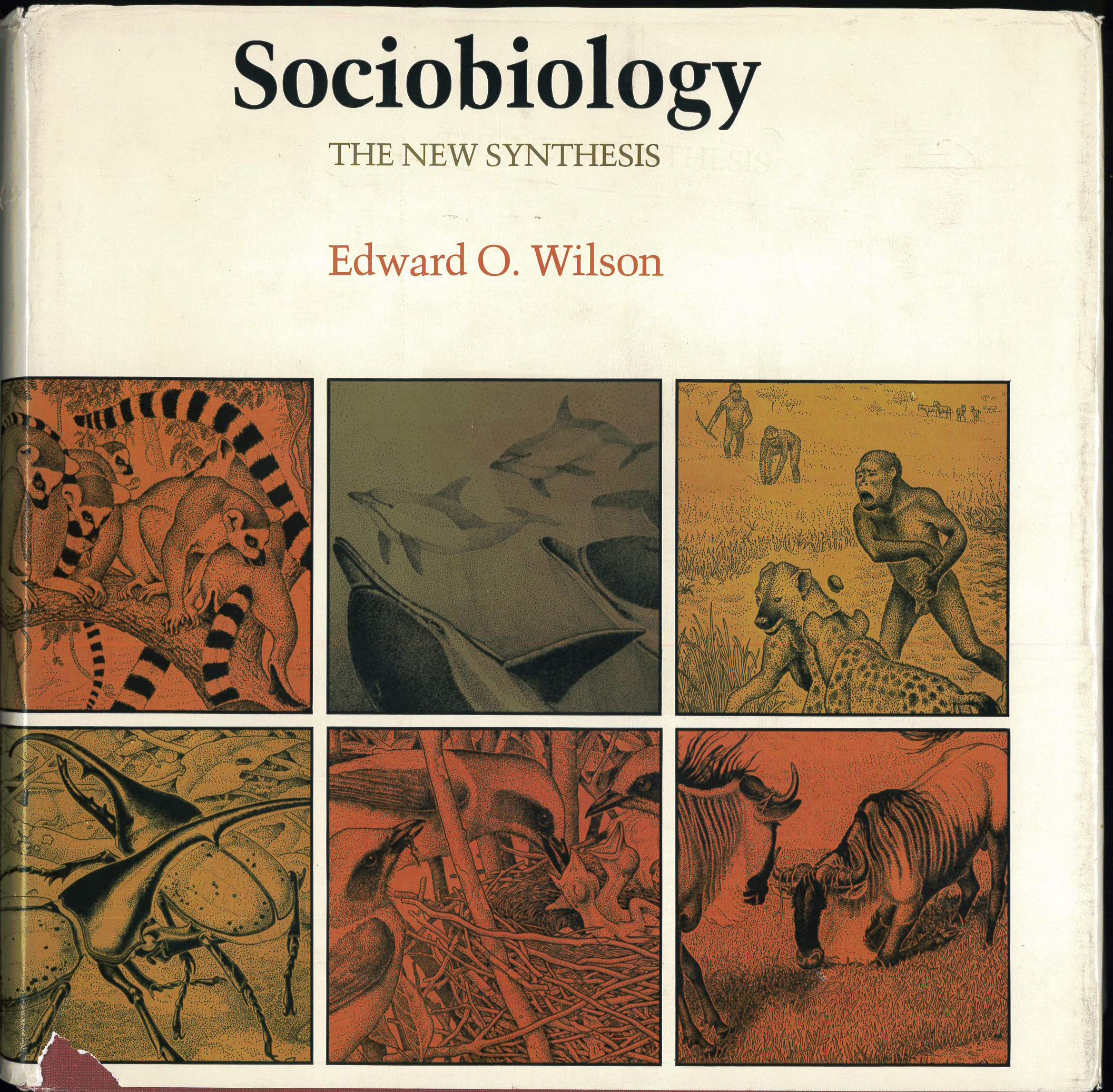 Sociobiology: The New Synthesis,New