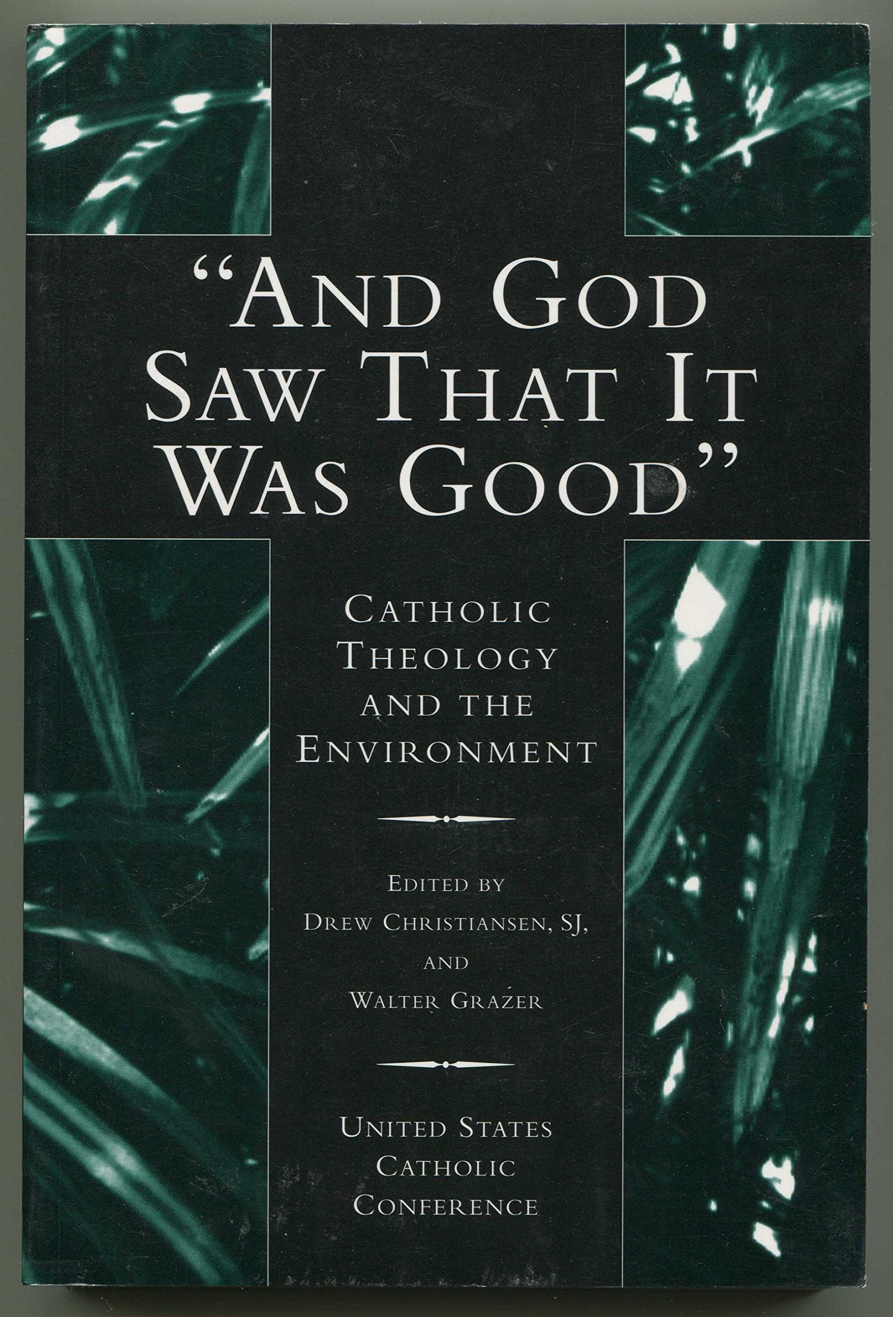 And God Saw That It Was Good: Catholic Theology & the Environment,Used