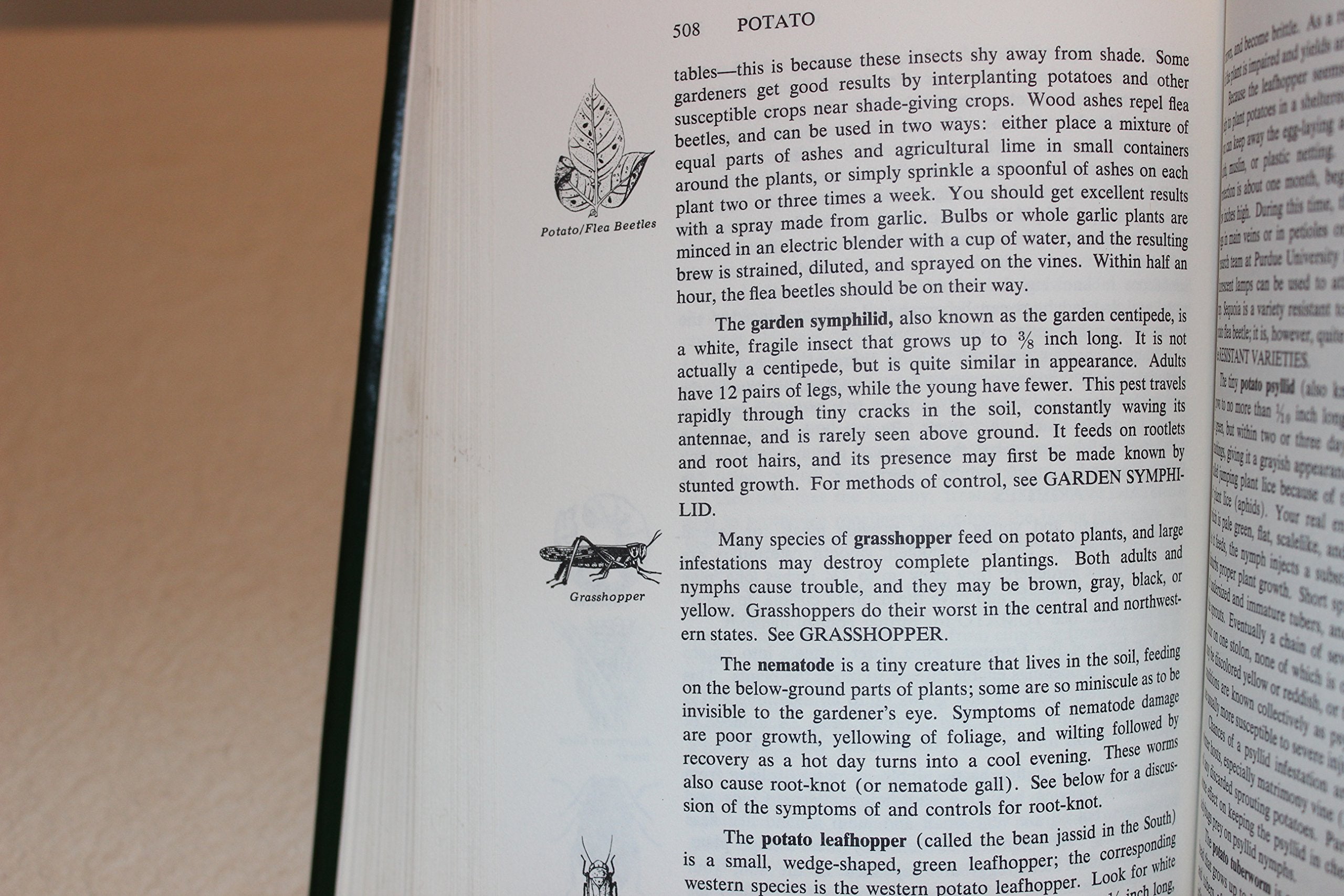 Organic Plant Protection,Used