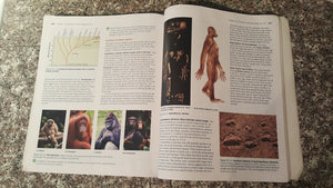 Human Biology: Concepts and Current Issues,Used