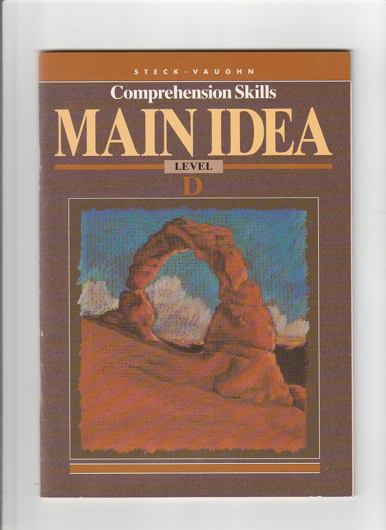 Sv Comp Skmain Idea Level D;Steckvaughn Comprehension Skills,New