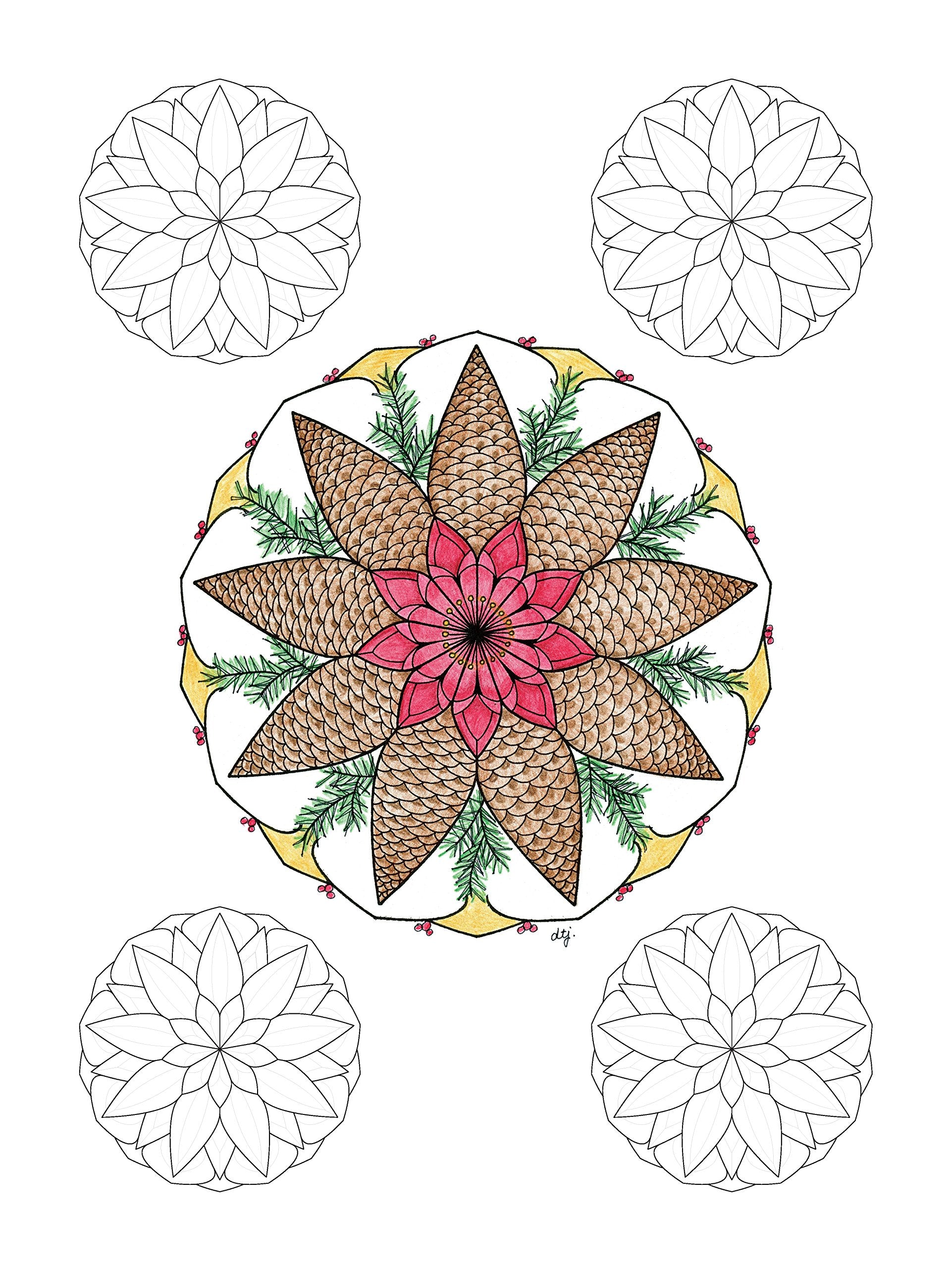 TangleEasy Guided Journal Mandala (Quiet Fox Designs) Lined Pages with Thoughtful Prompts and Exquisite Mandala Illustrations by,Used