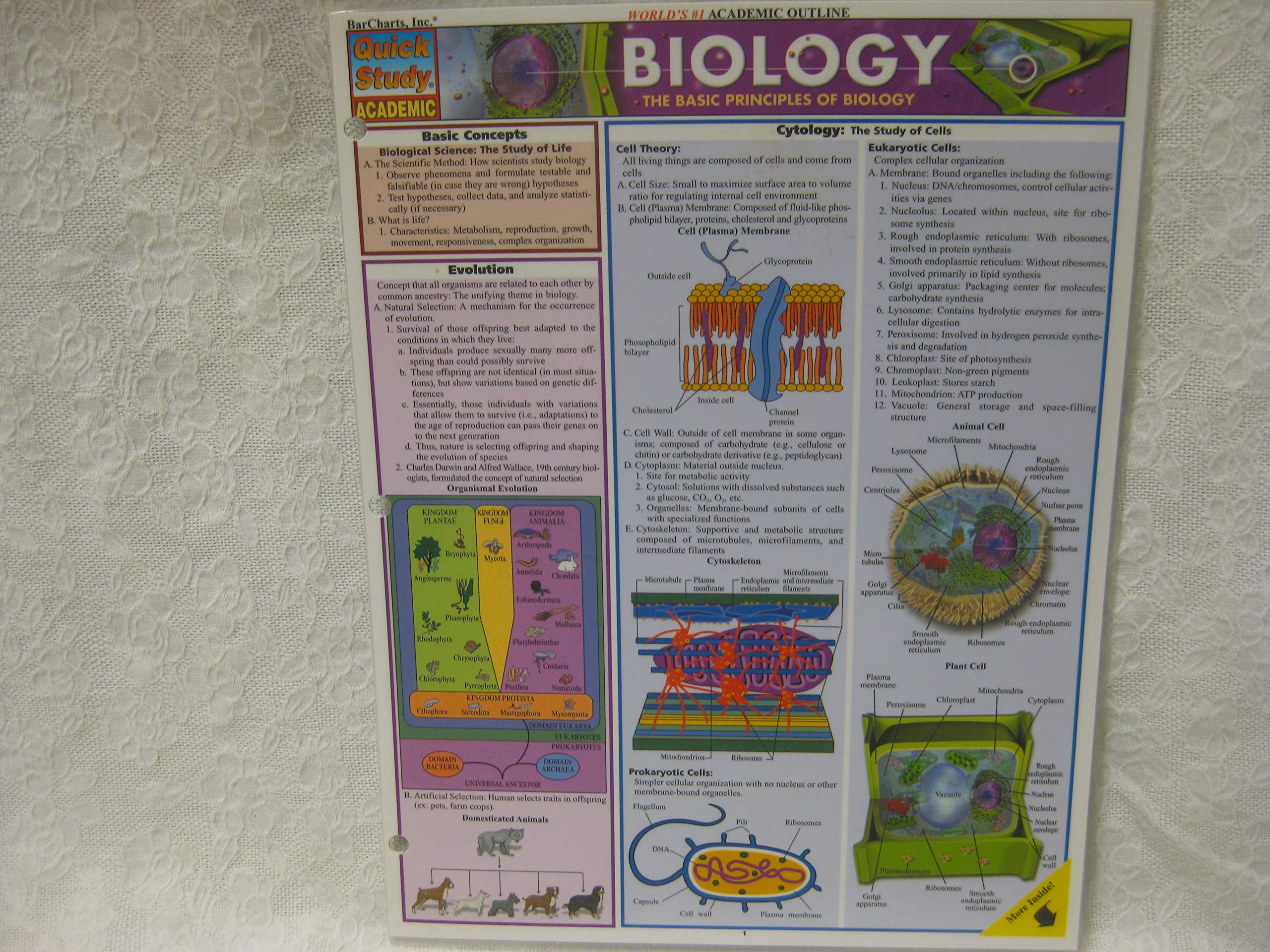 Biology (Quickstudy Reference Guides  Academic),Used